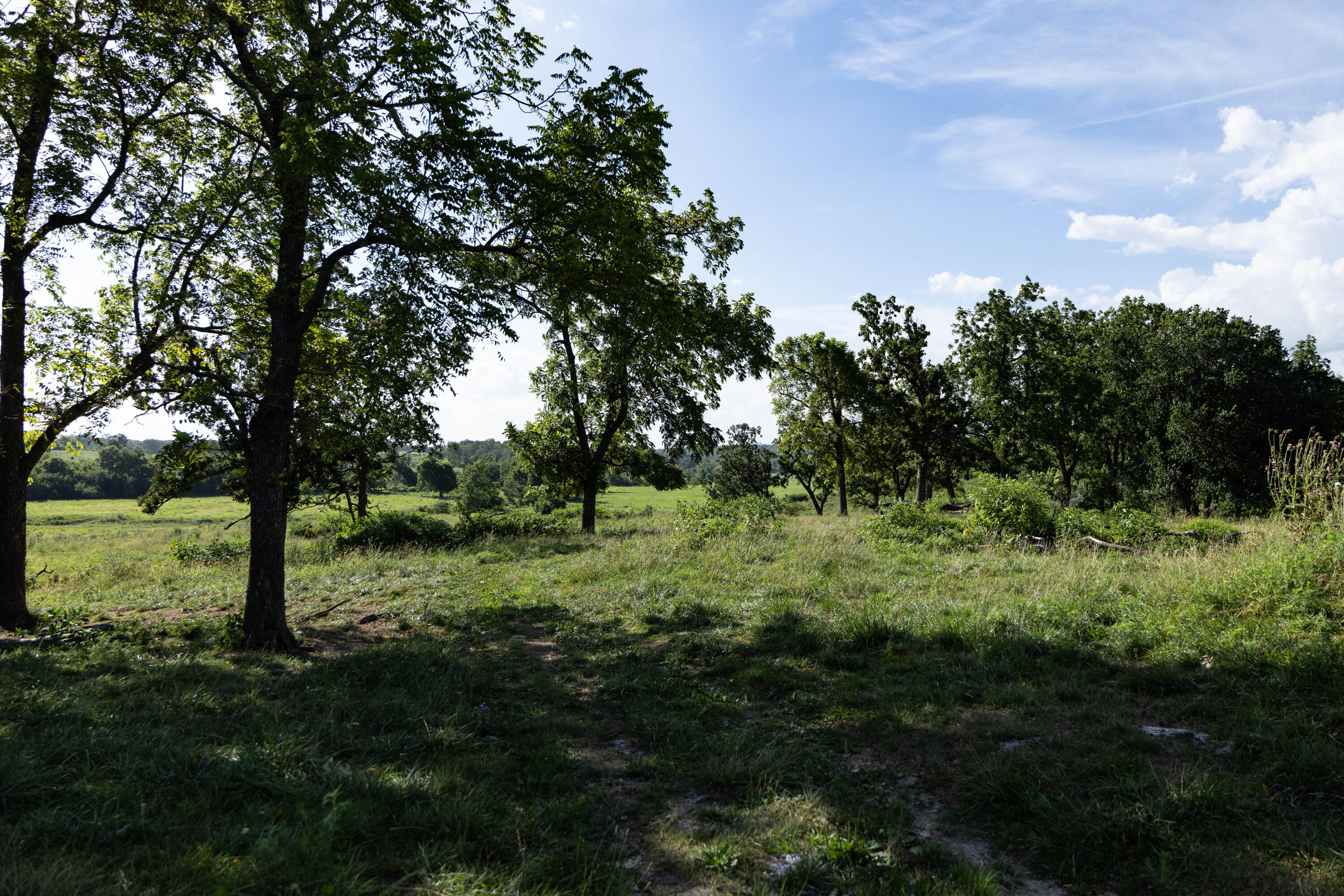 main property photo 107