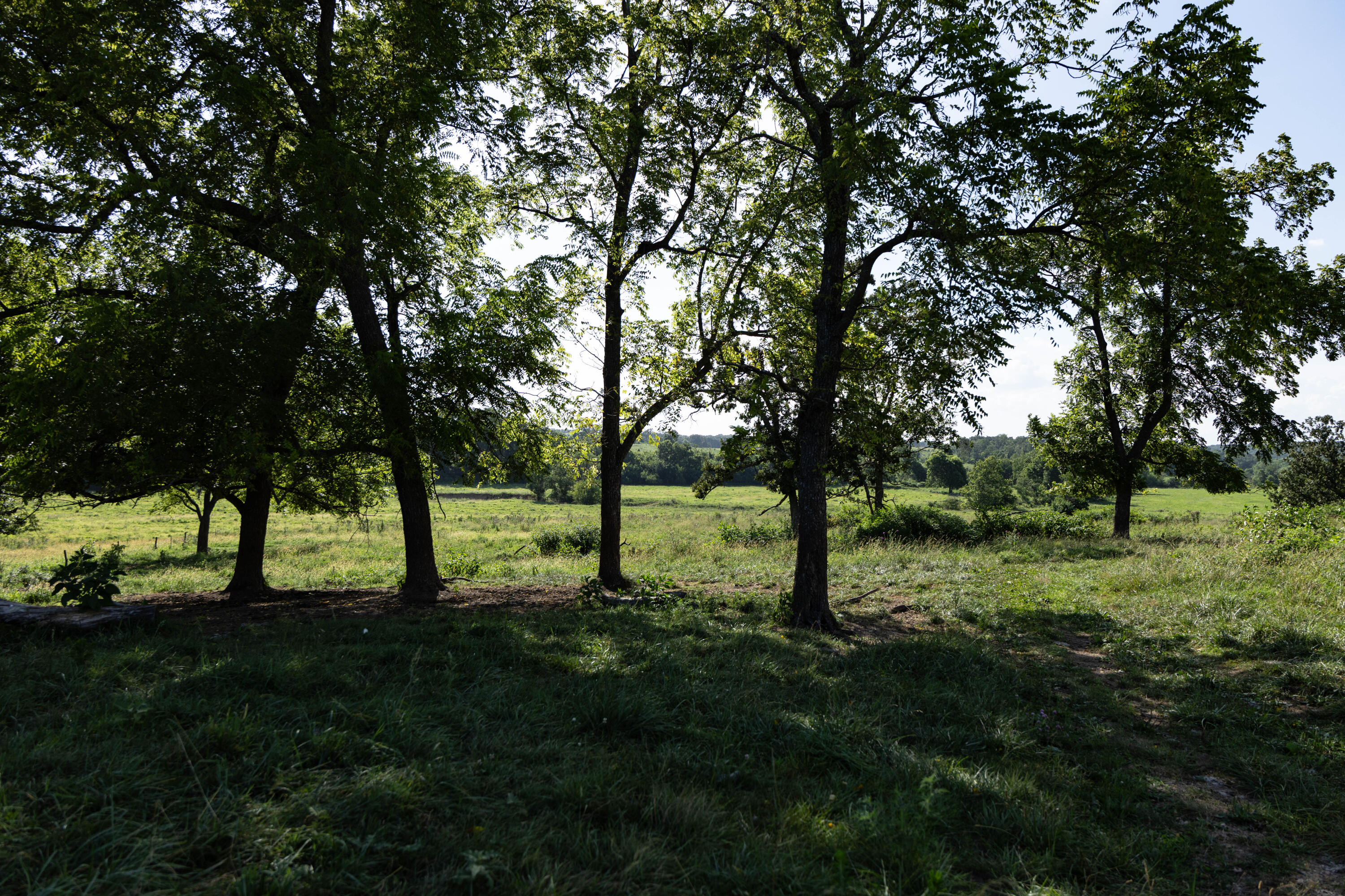 main property photo 111