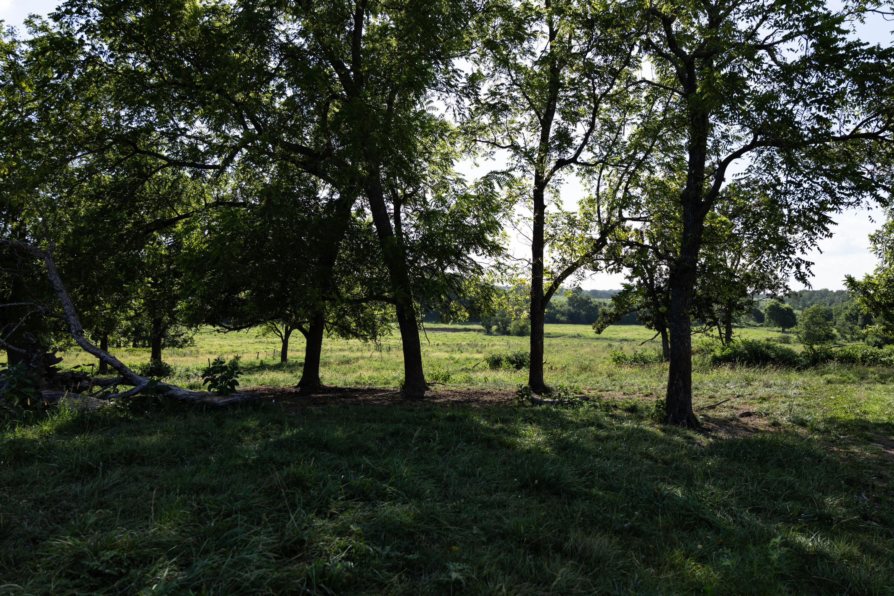 main property photo 112