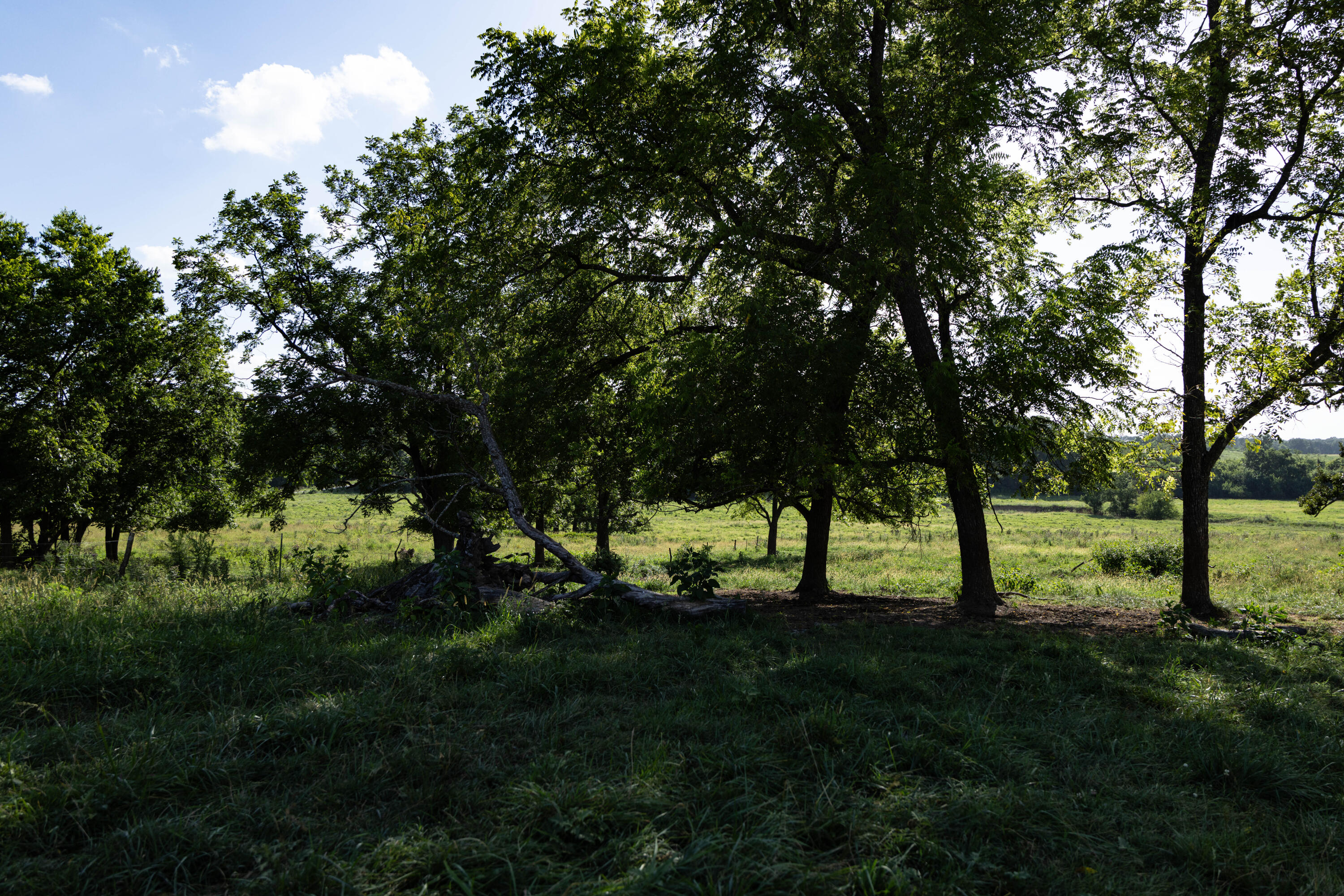 main property photo 114