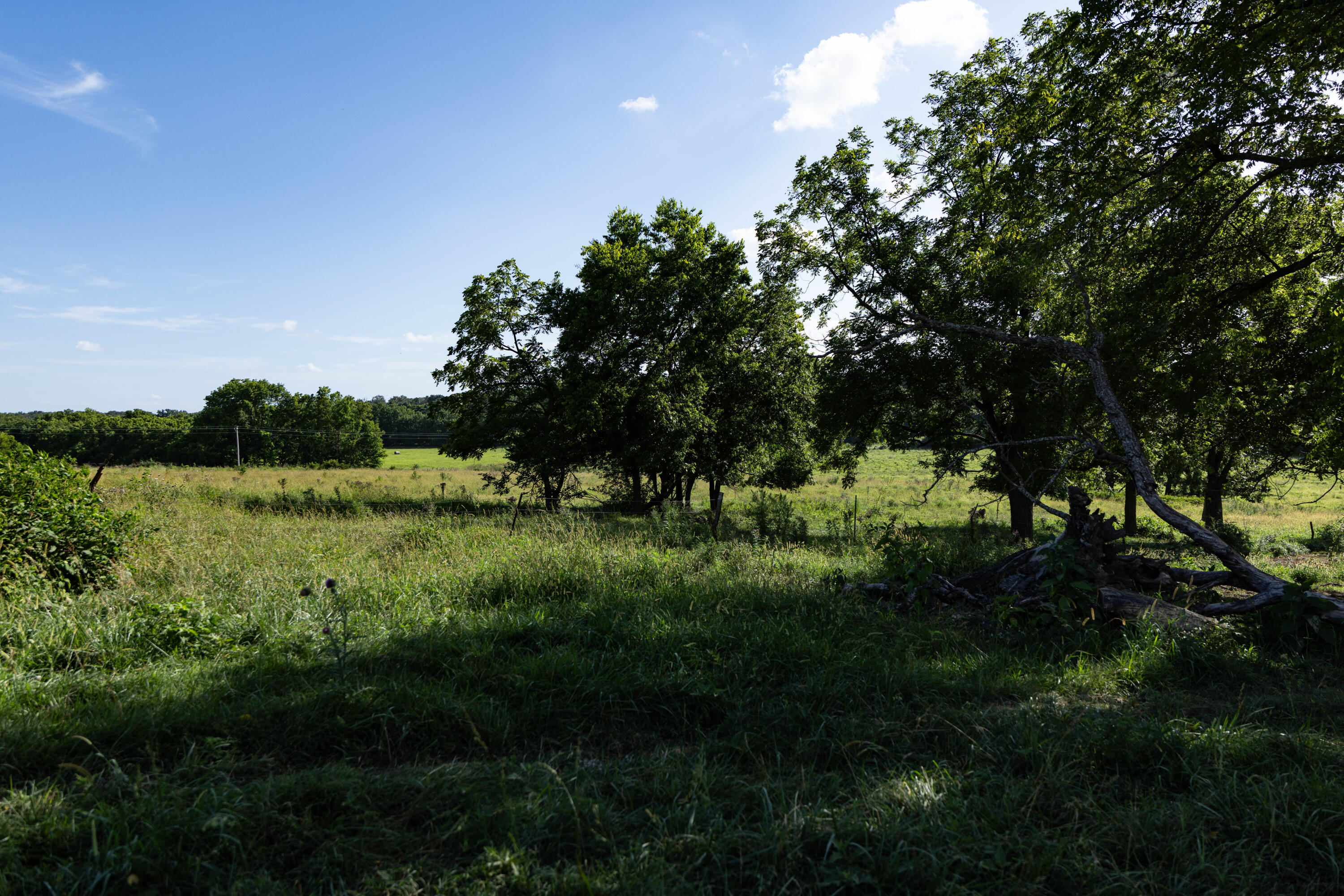 main property photo 117