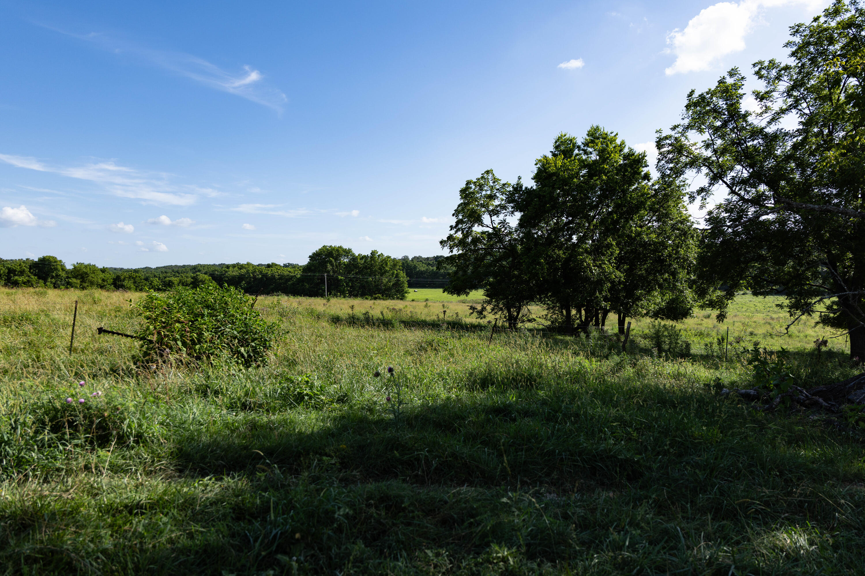 main property photo 119