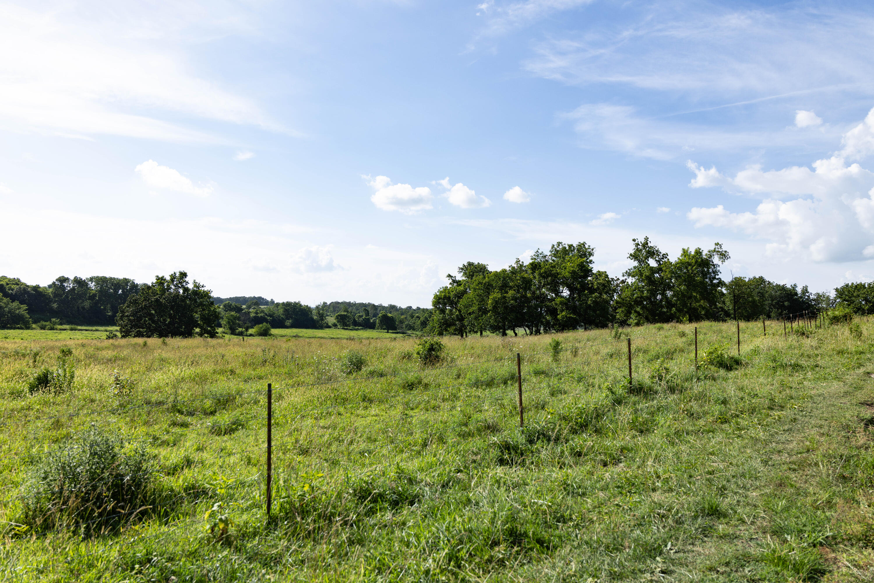 main property photo 136
