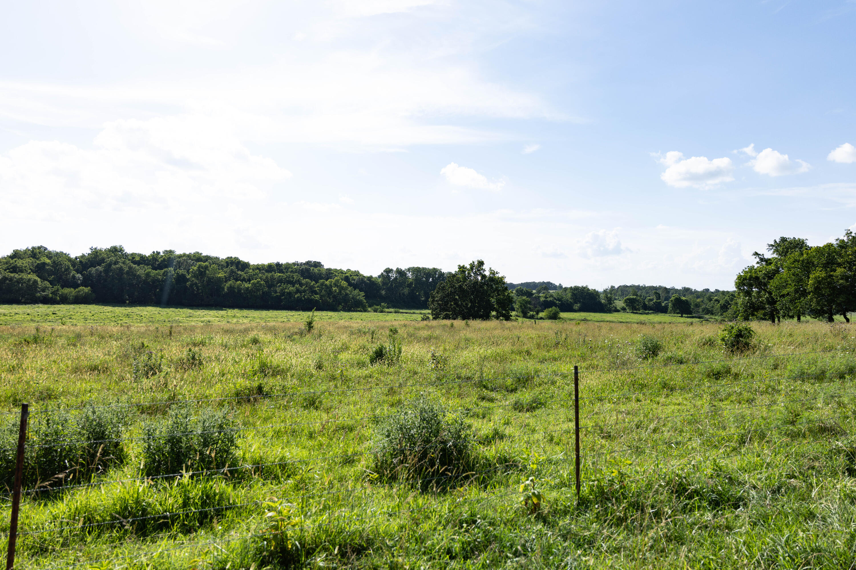 main property photo 140