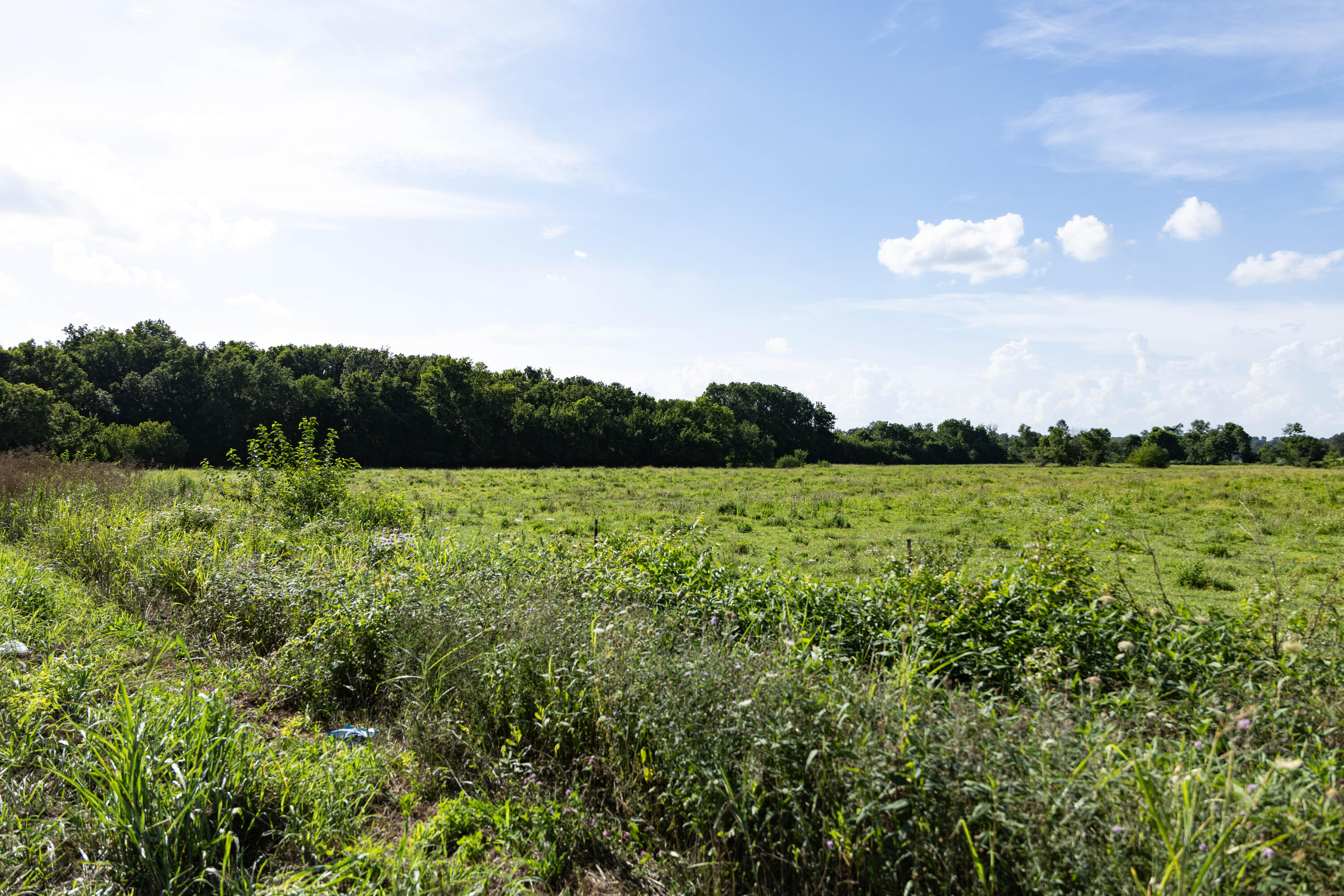 main property photo 161