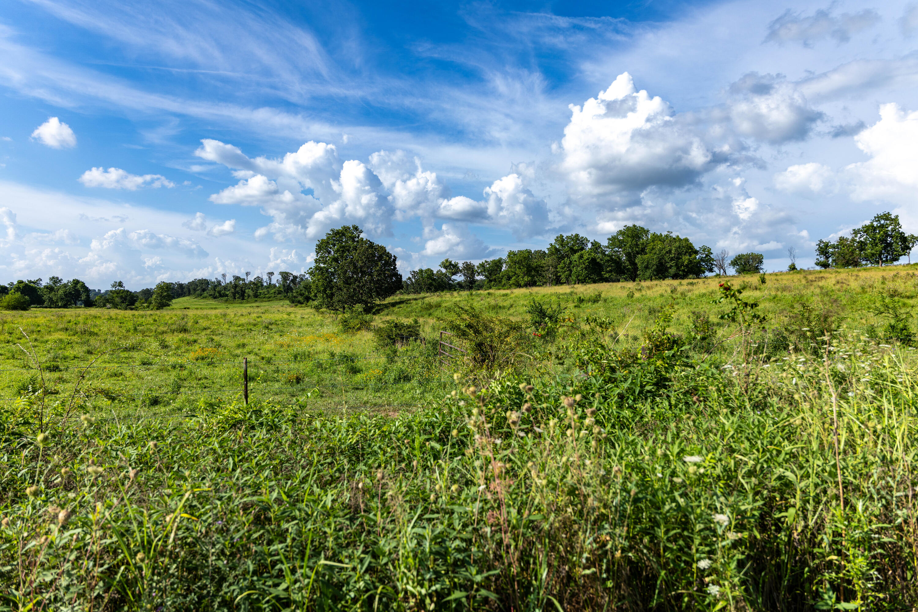 main property photo 167
