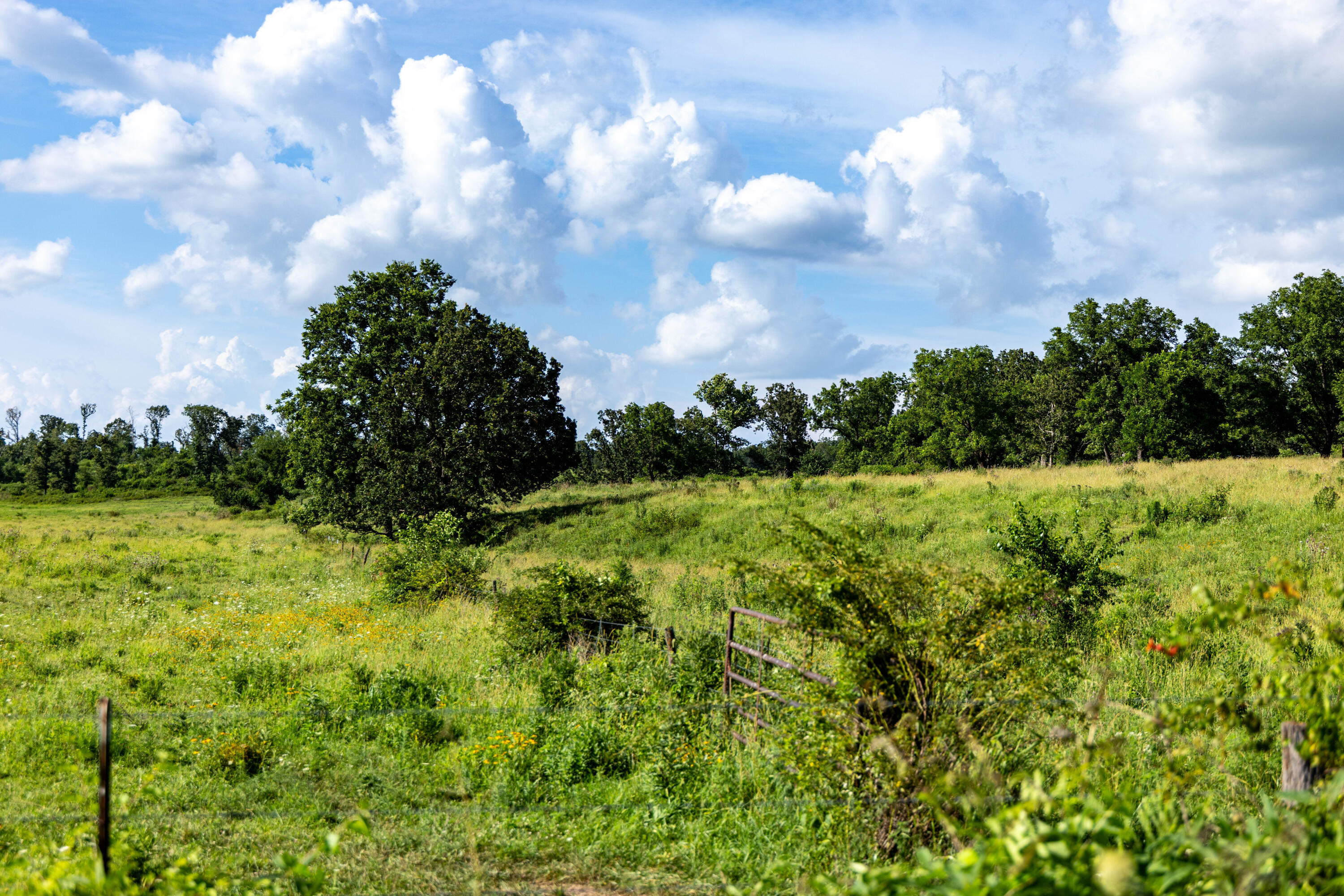 main property photo 175