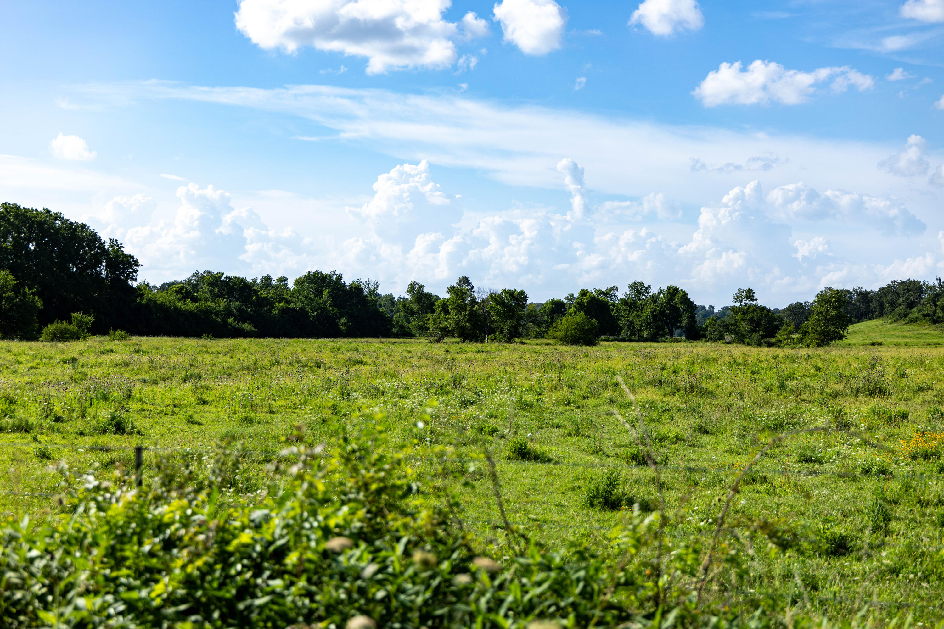 main property photo 180