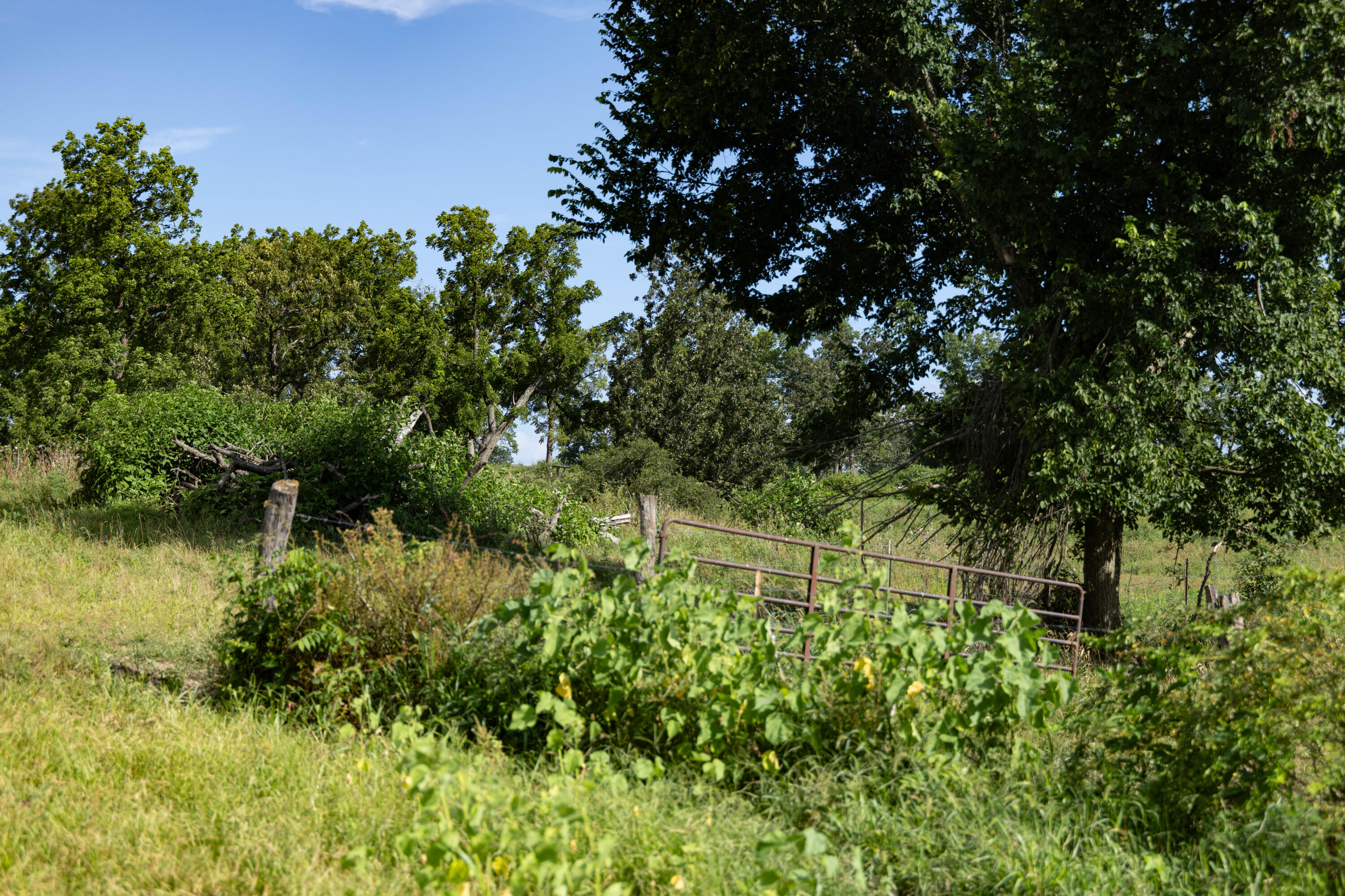main property photo 52