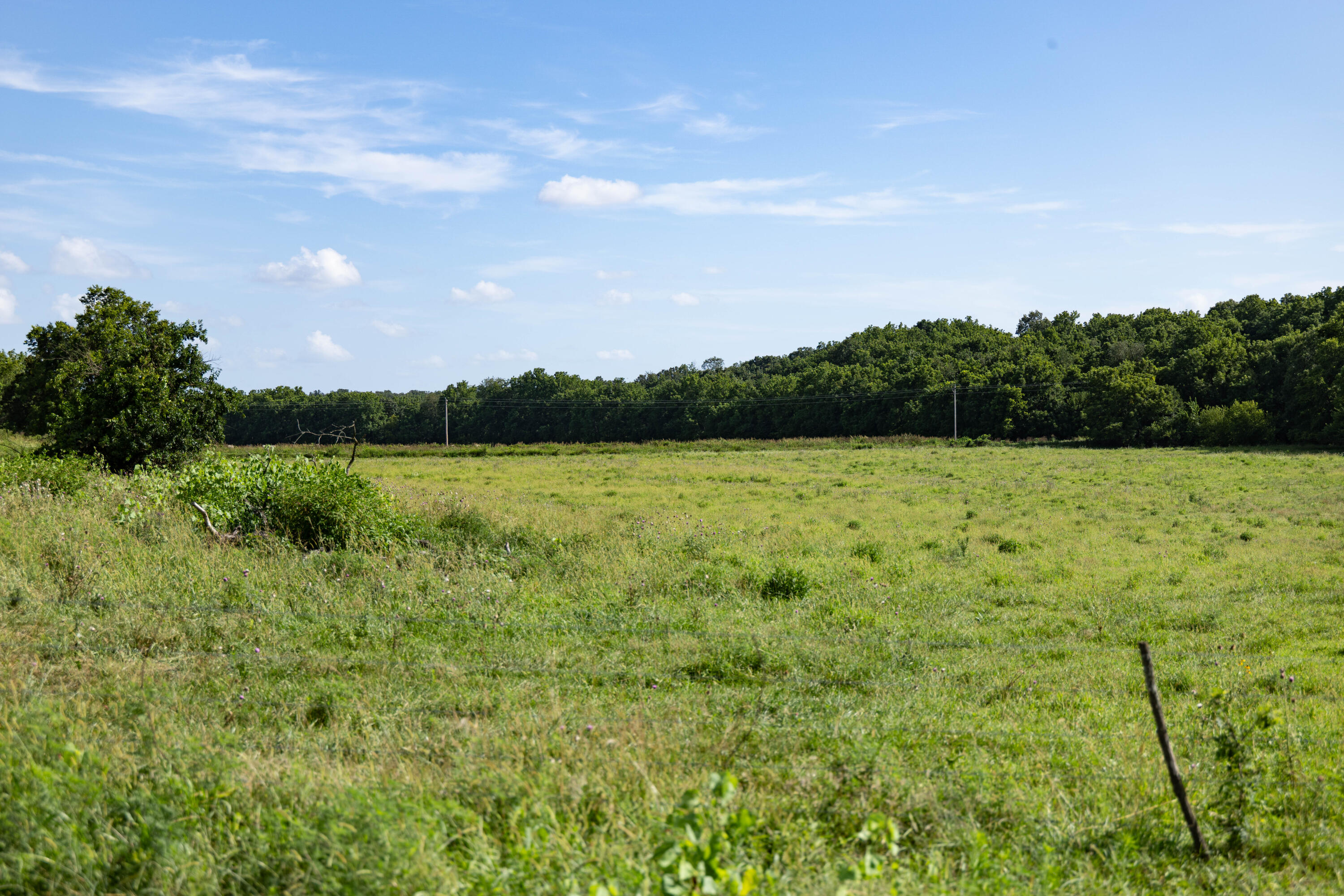 main property photo 54