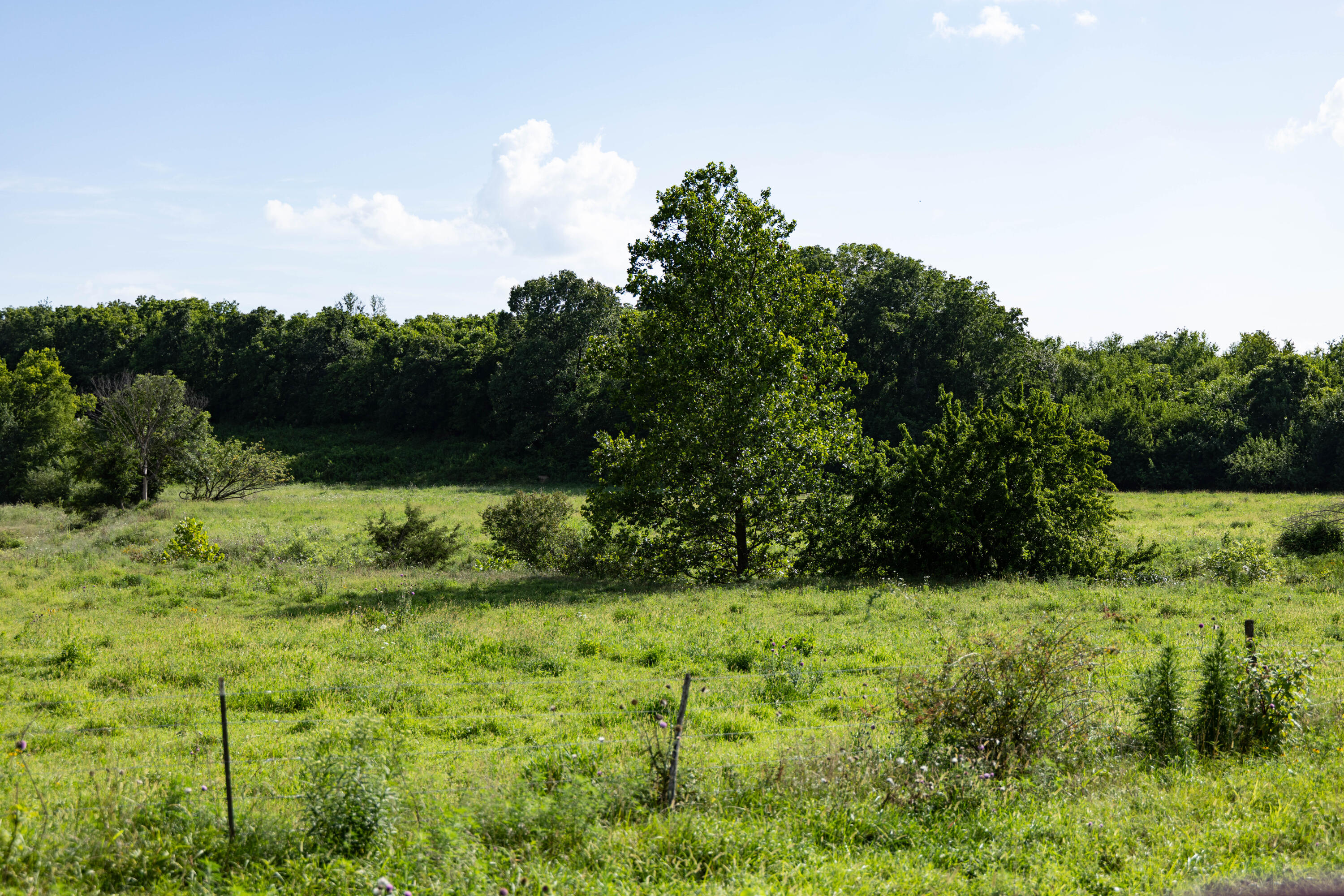 main property photo 57