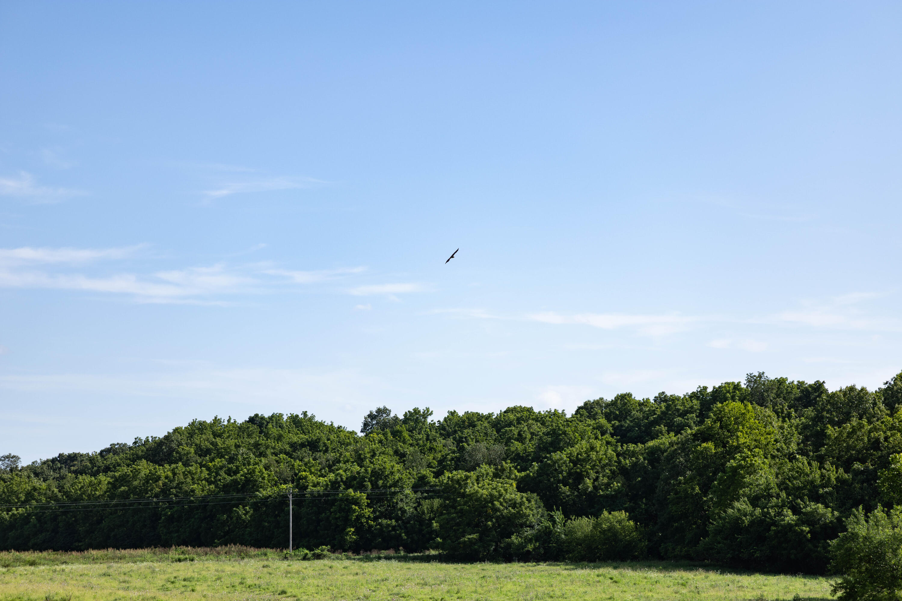 main property photo 62