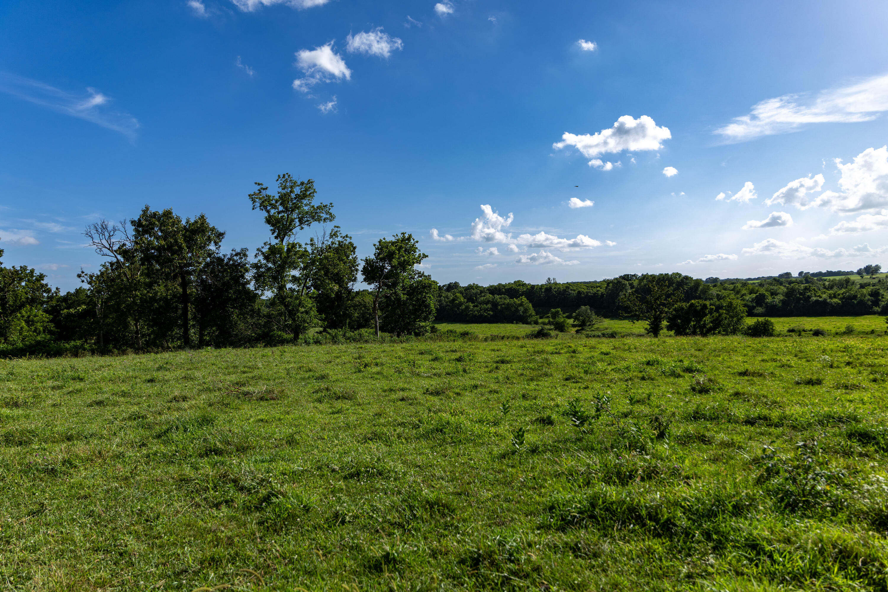 main property photo 76