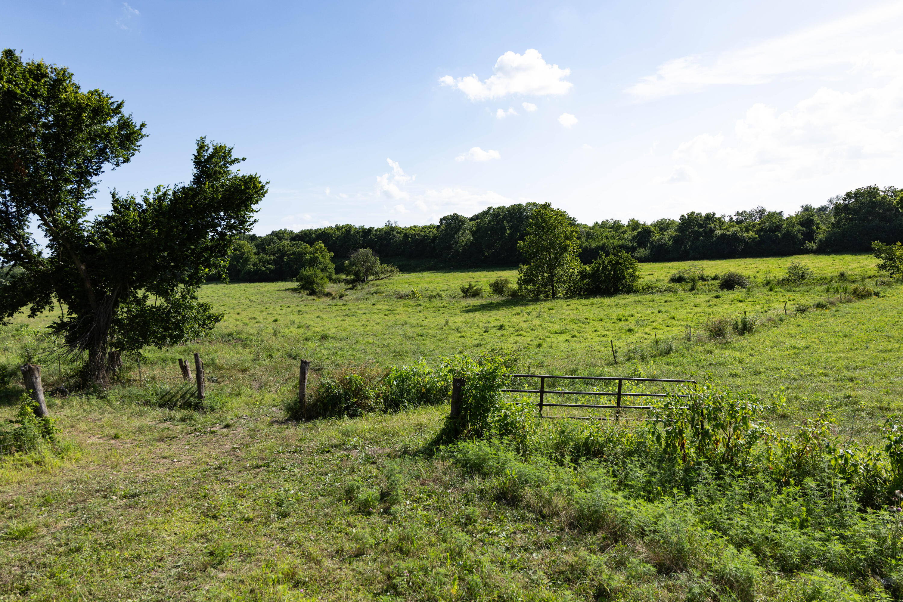 main property photo 90