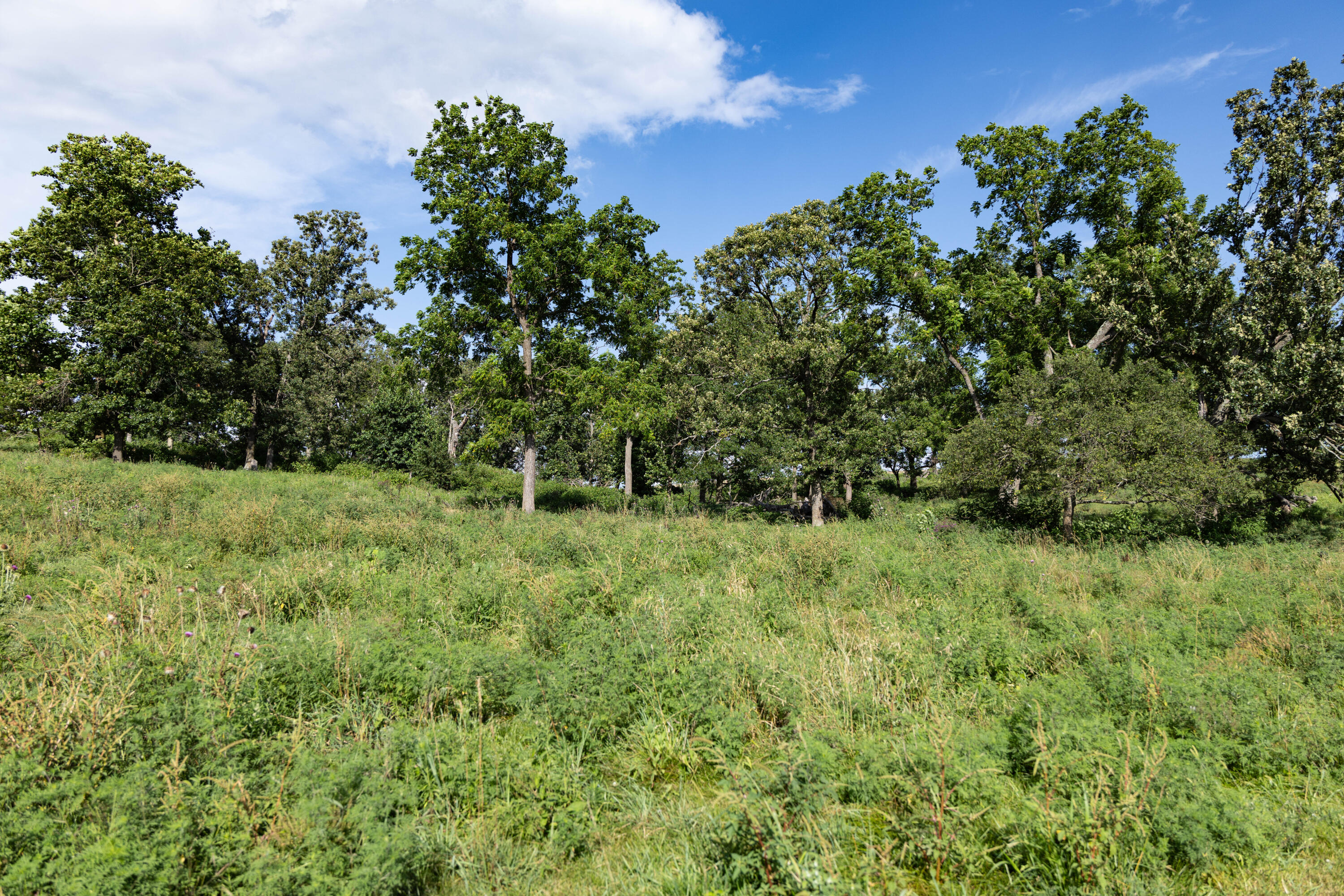 main property photo 92