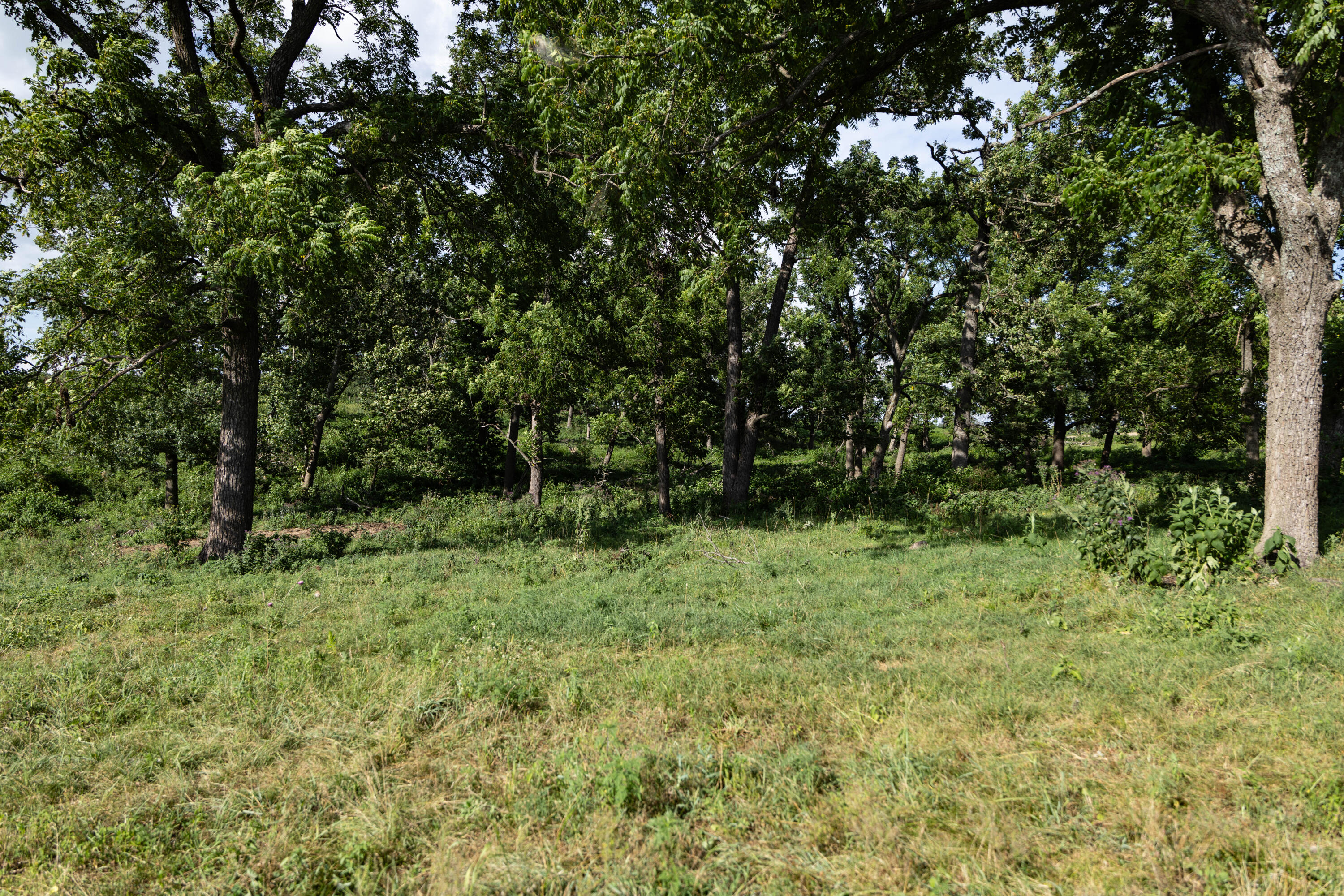 main property photo 96