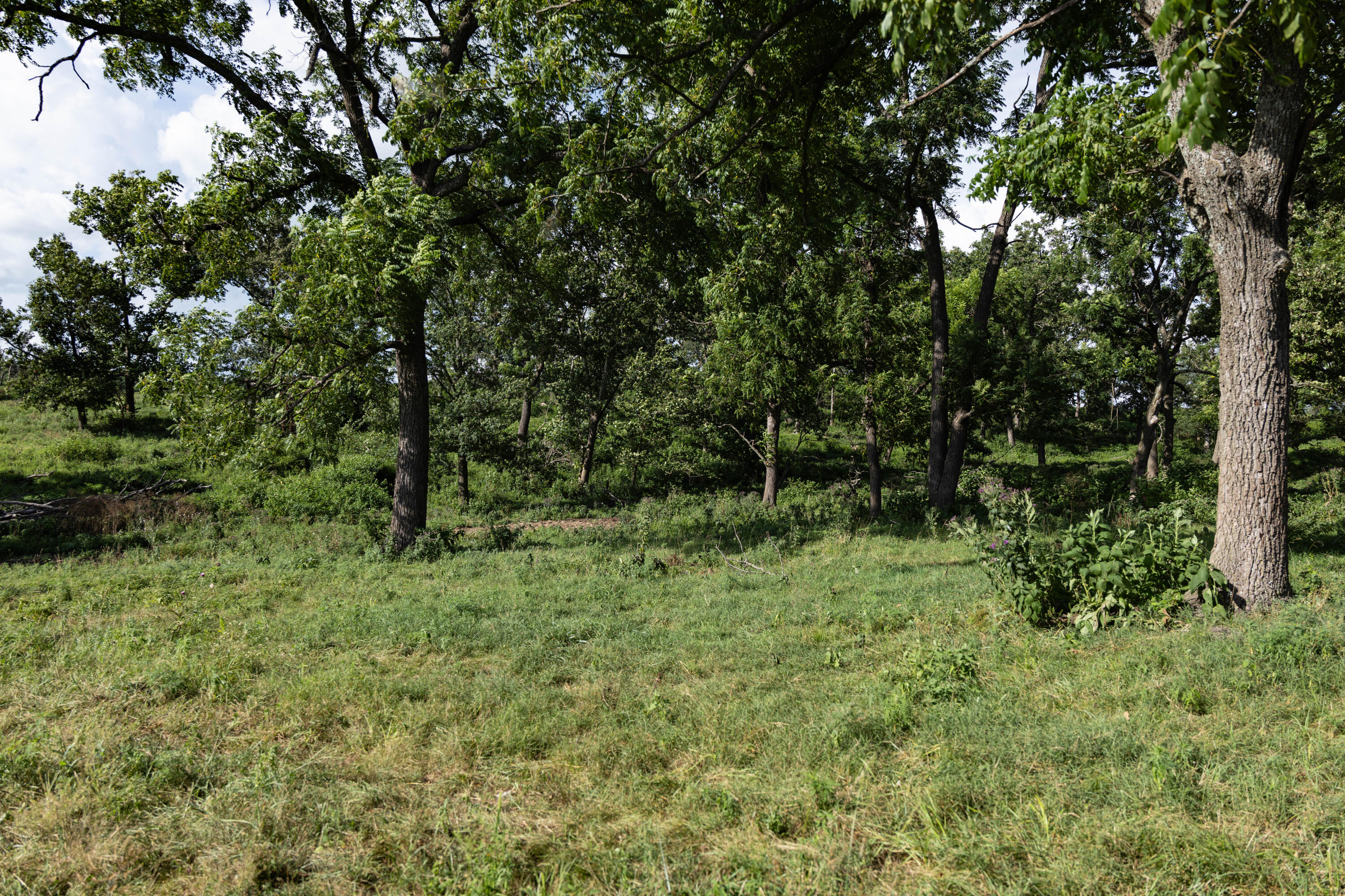 main property photo 98