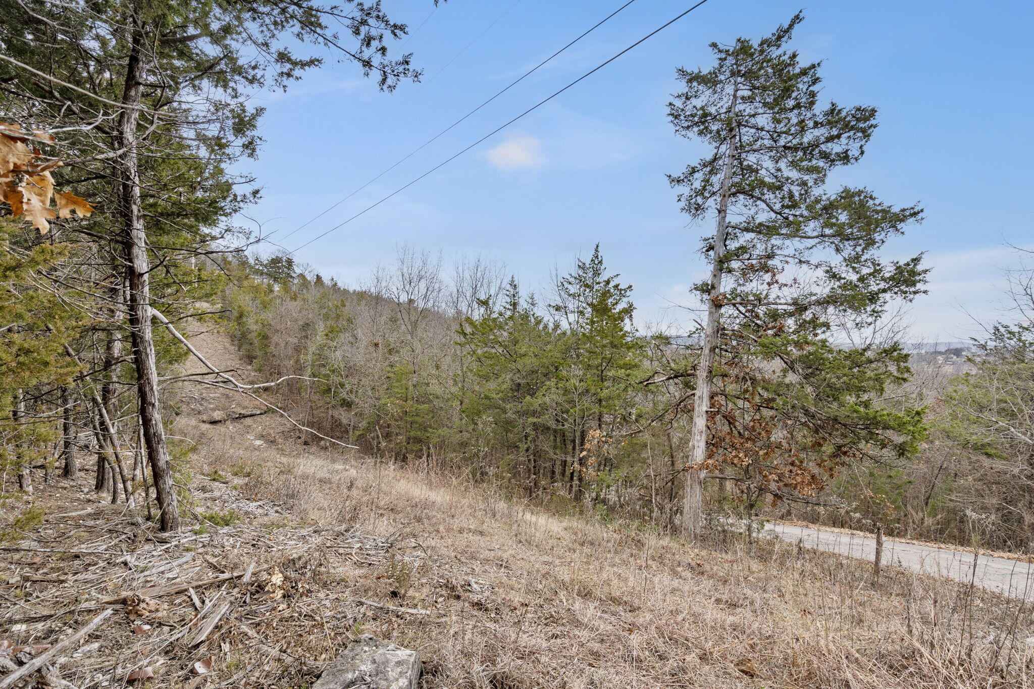 main property photo 41