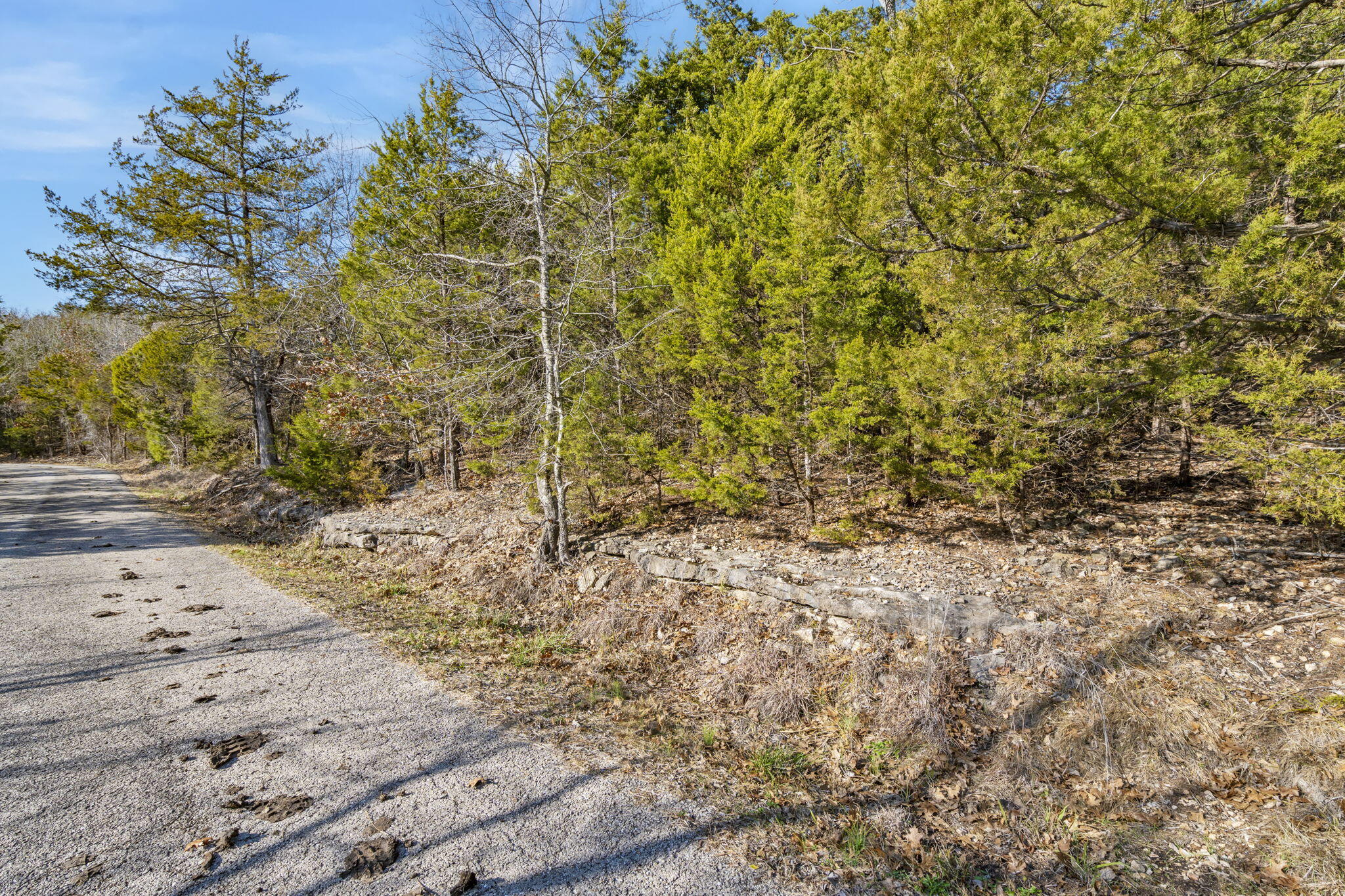 main property photo 11