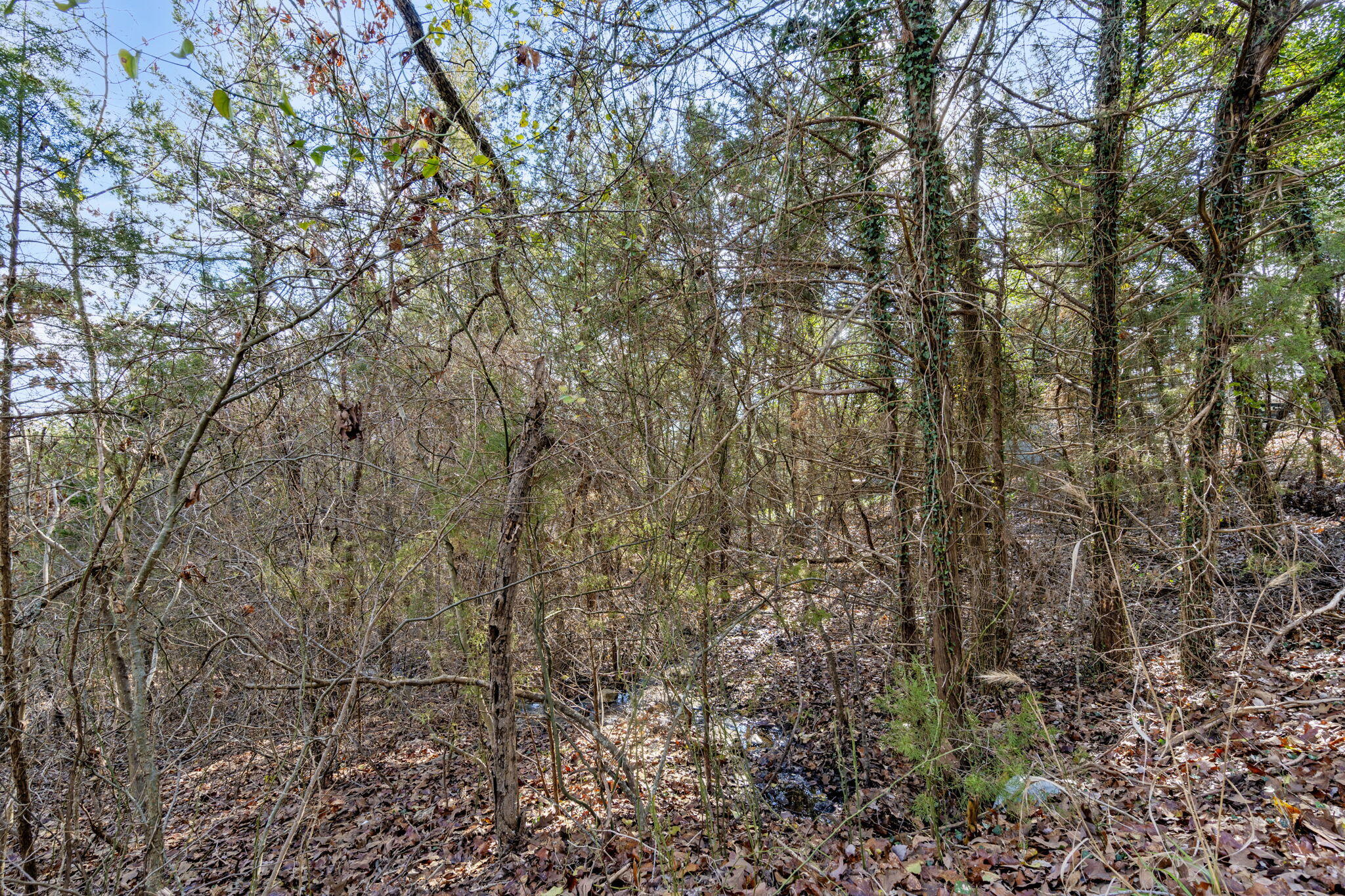 main property photo 14