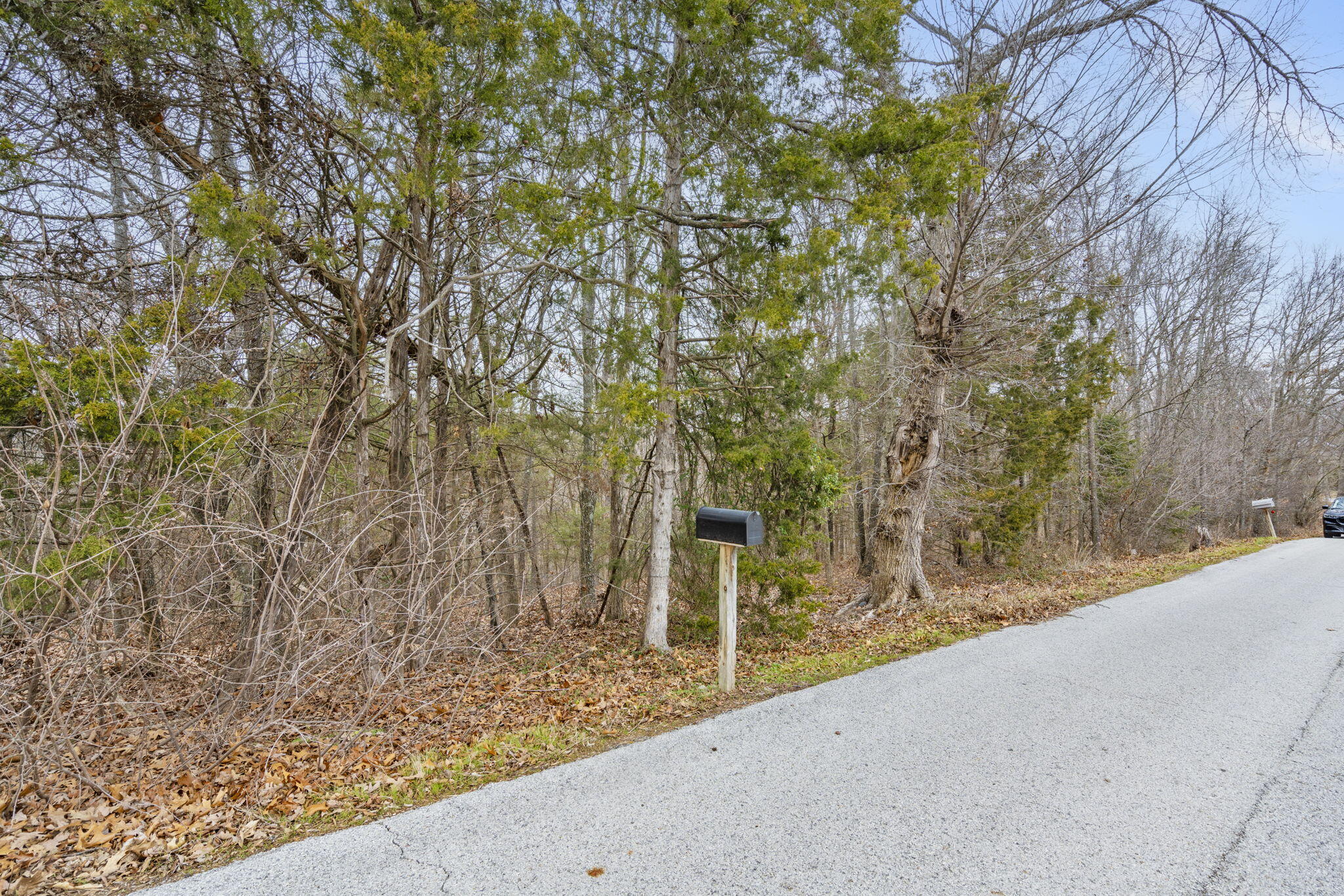 main property photo 12