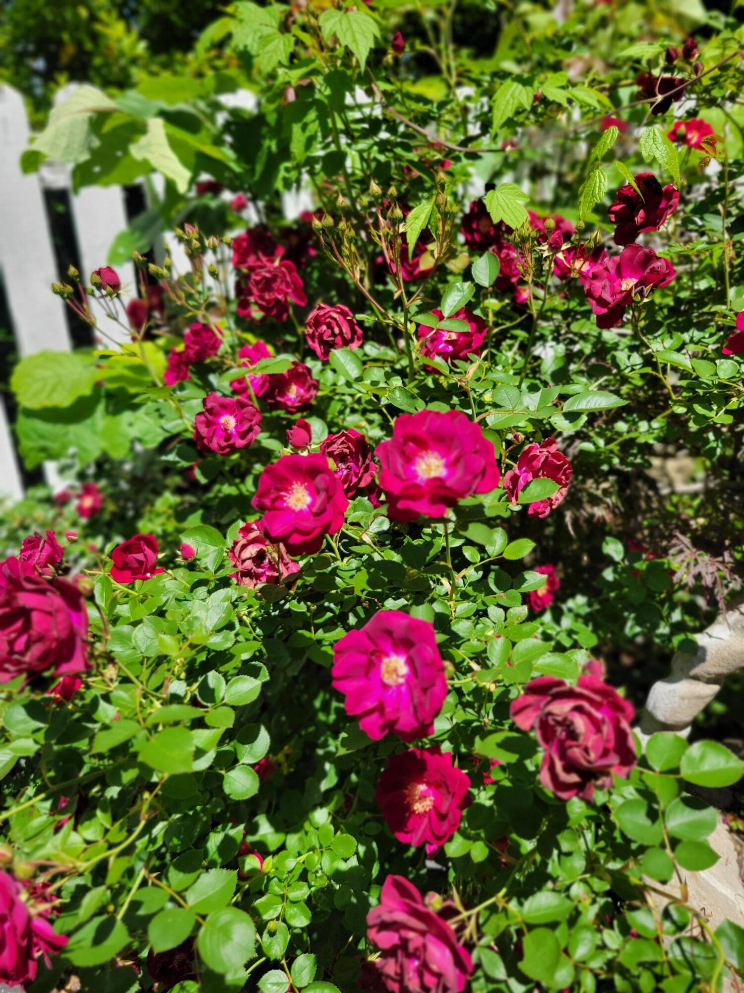 main property photo 86