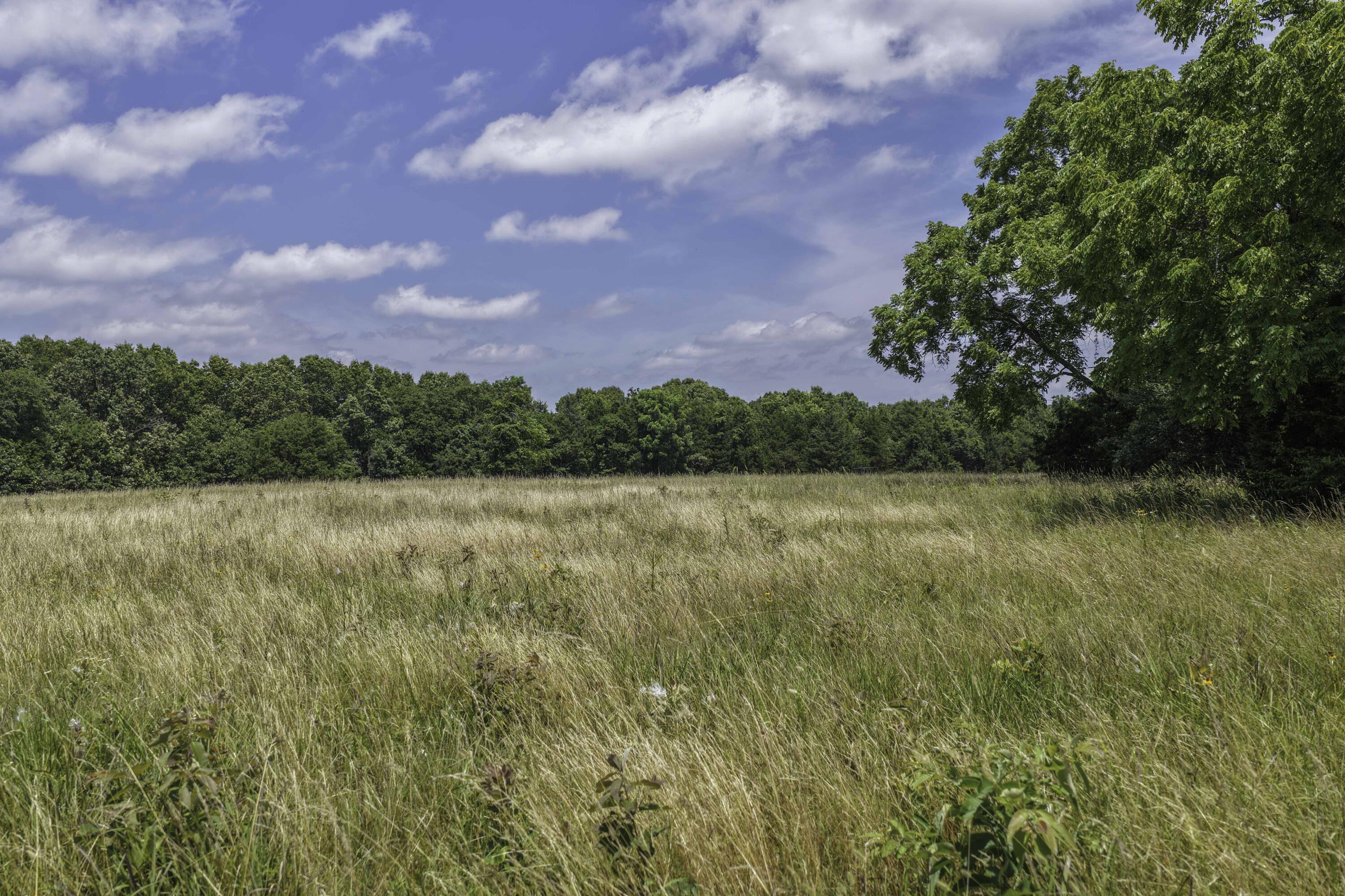 main property photo 62