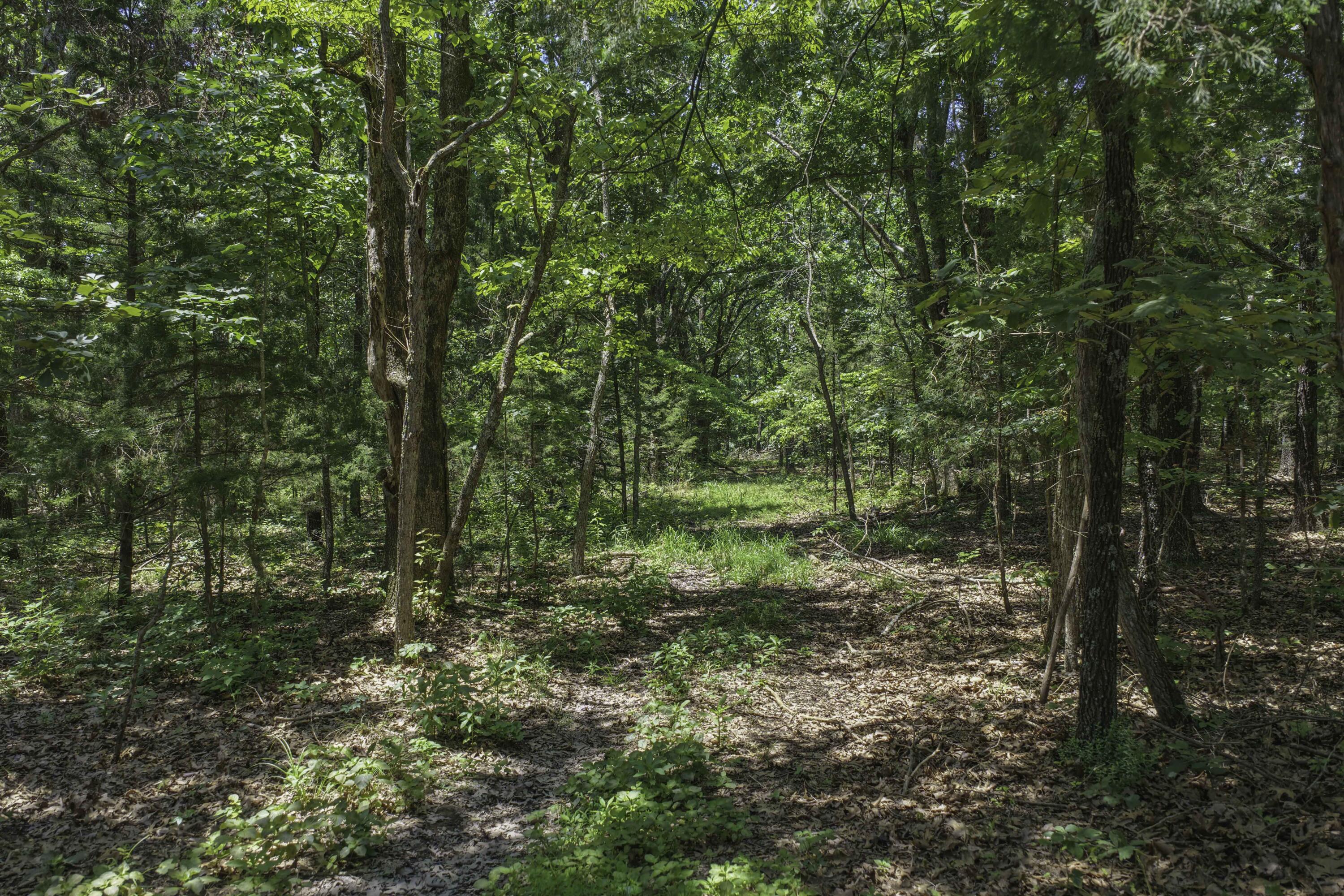 main property photo 66