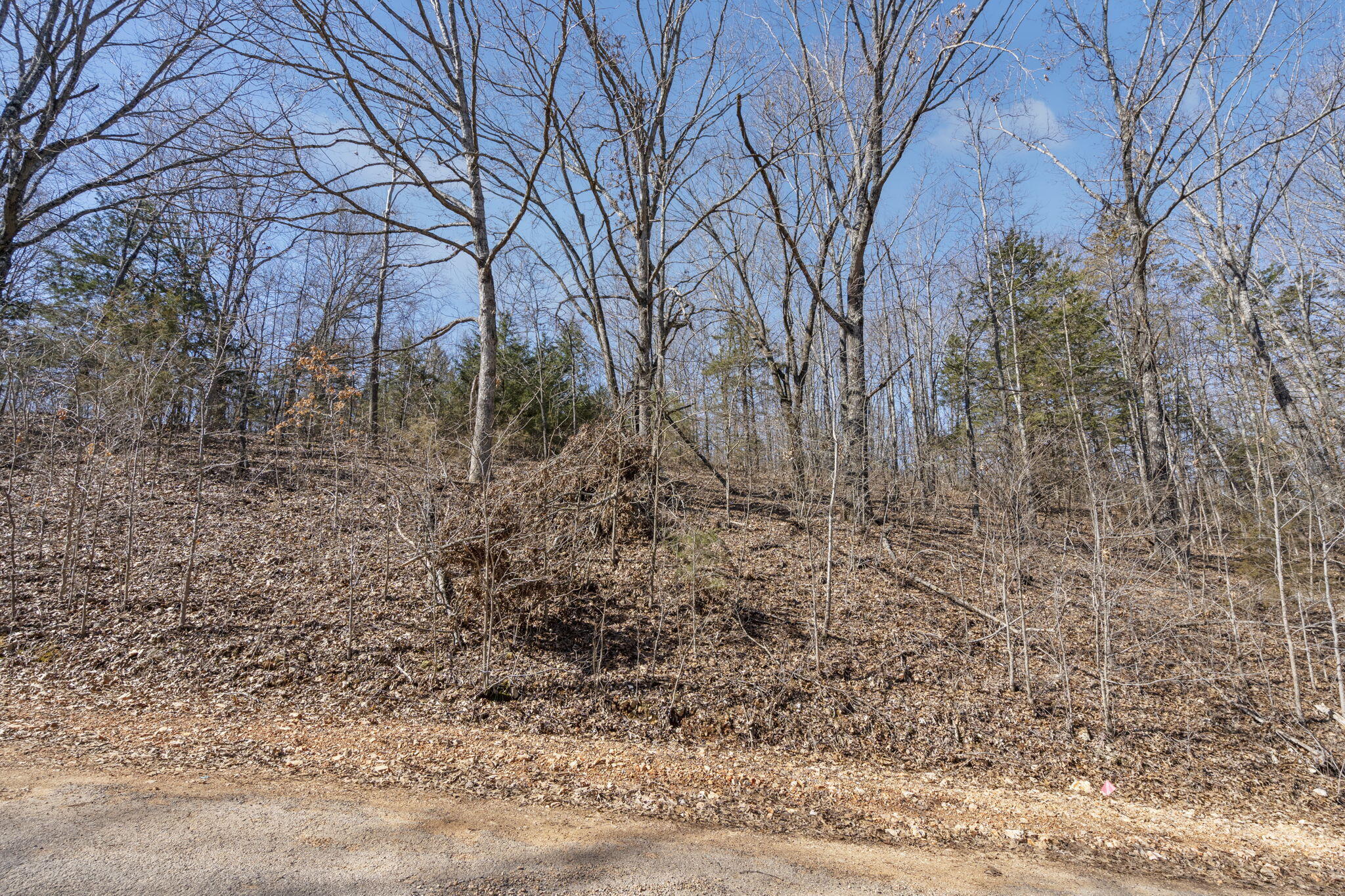 main property photo 11