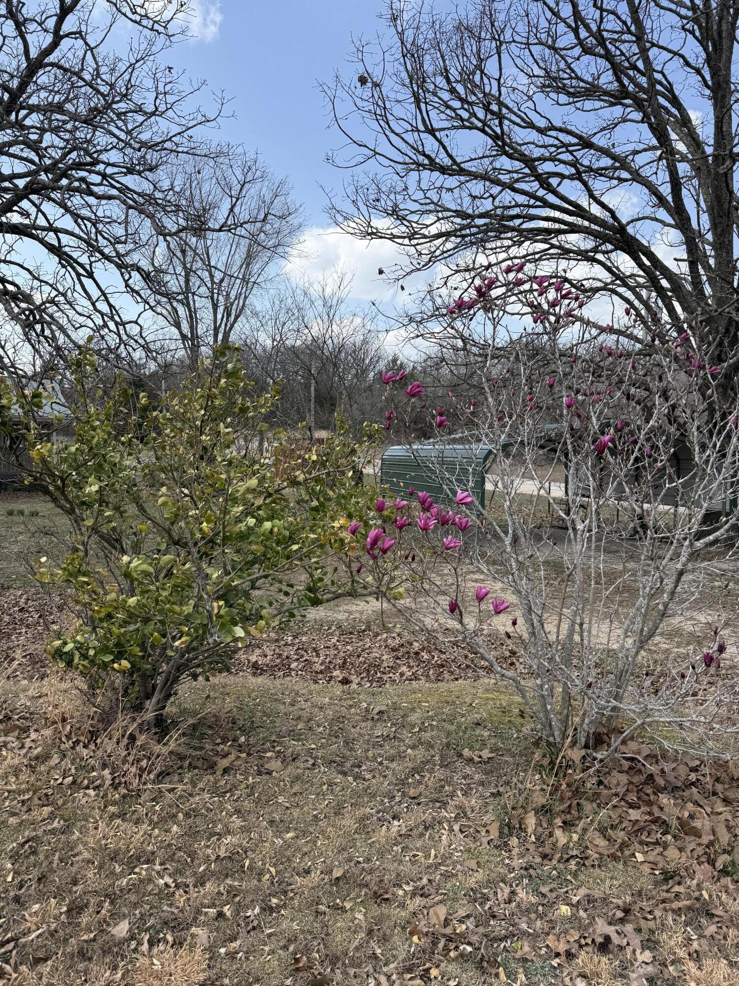 main property photo 22