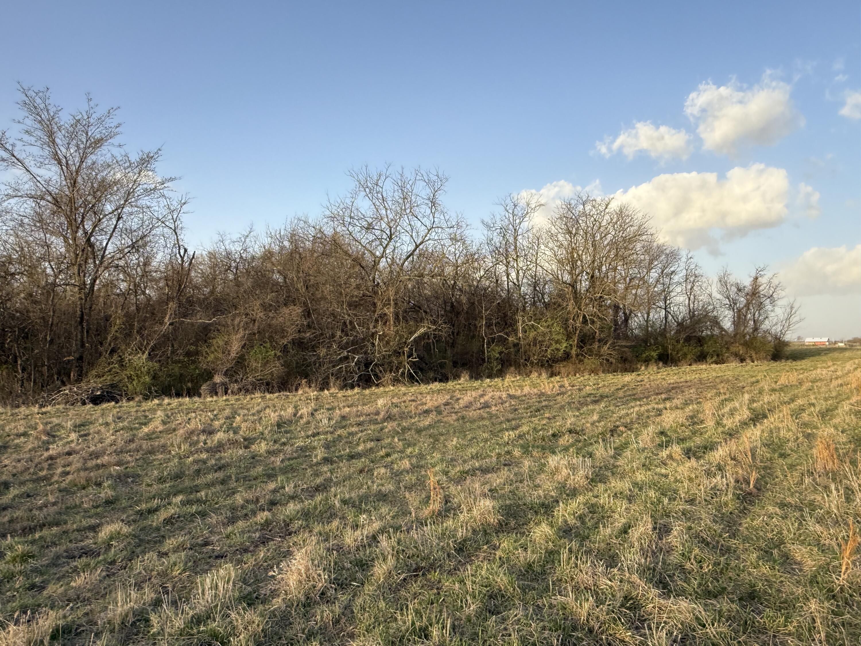 main property photo 10