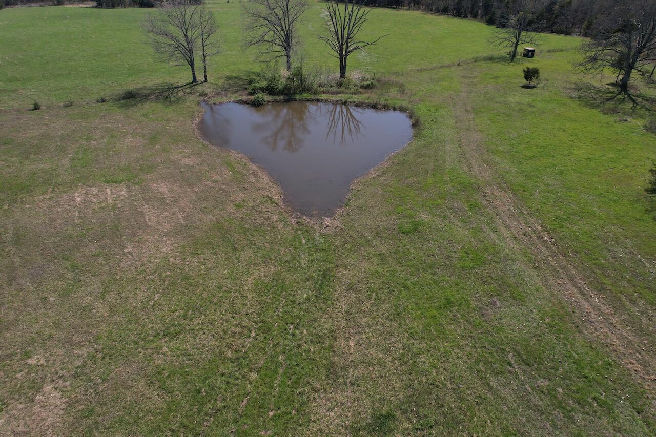 main property photo 54