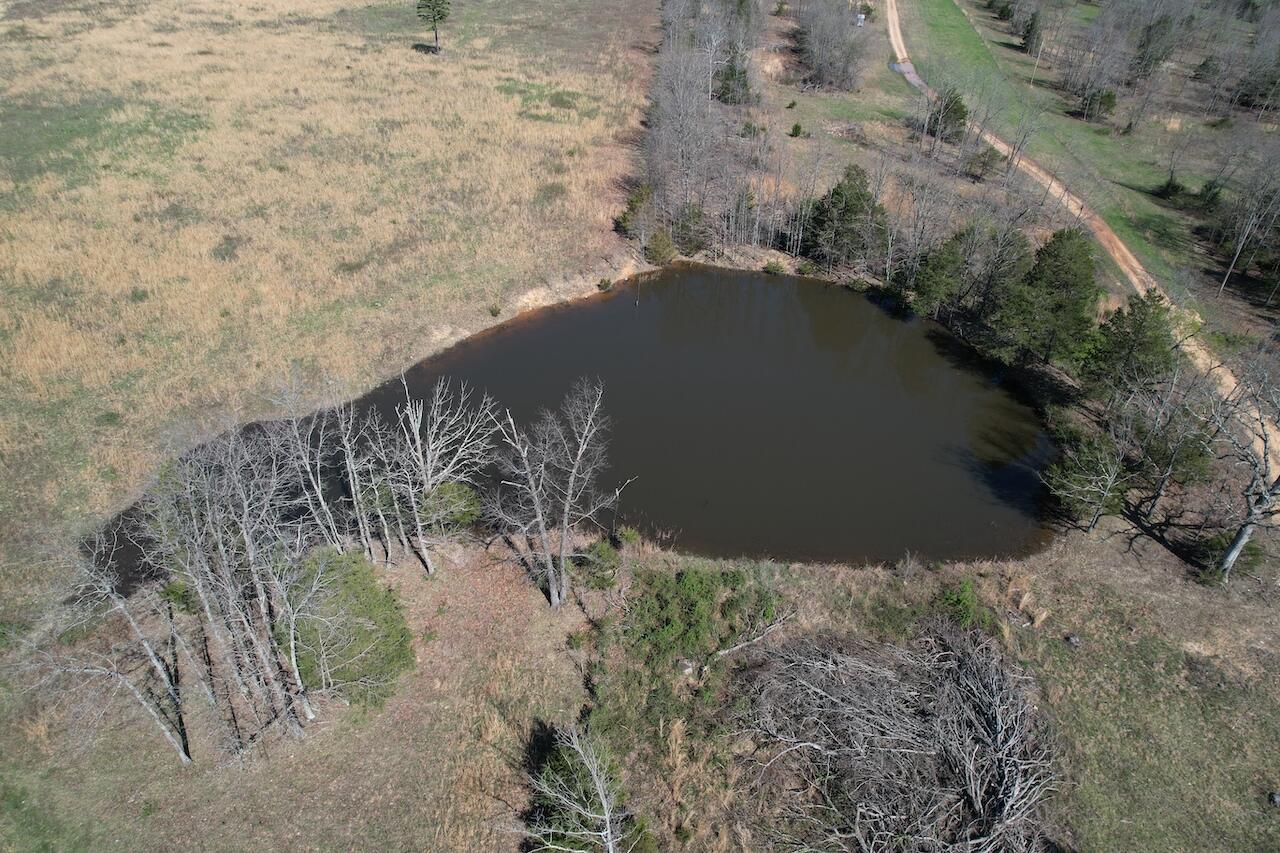main property photo 57