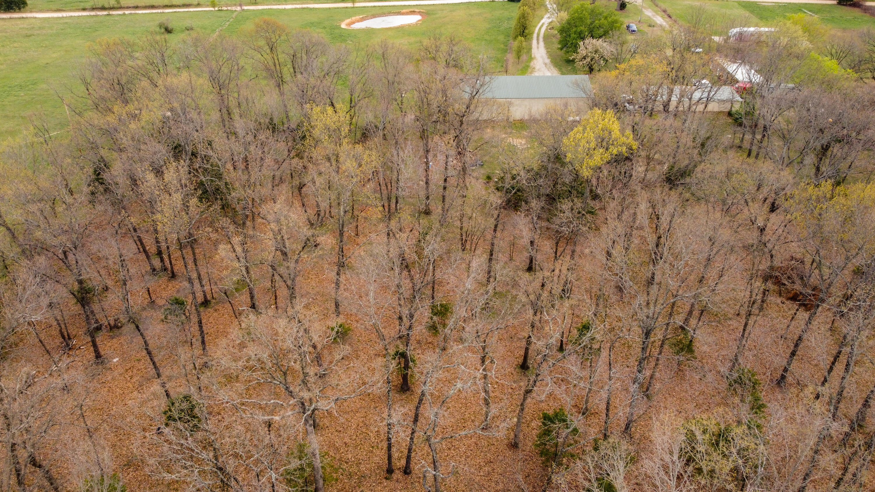 main property photo 52