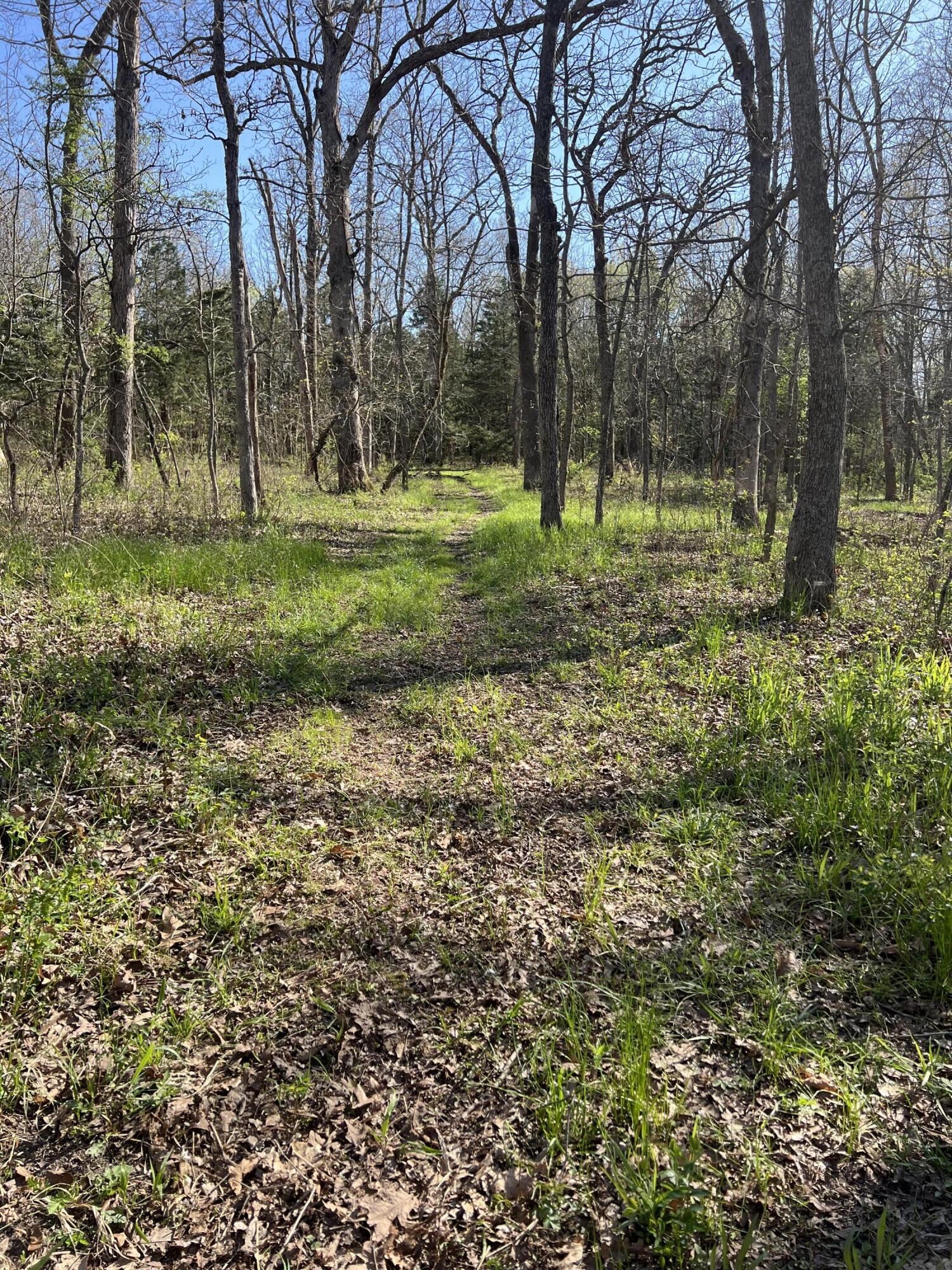 property viewer photo 12