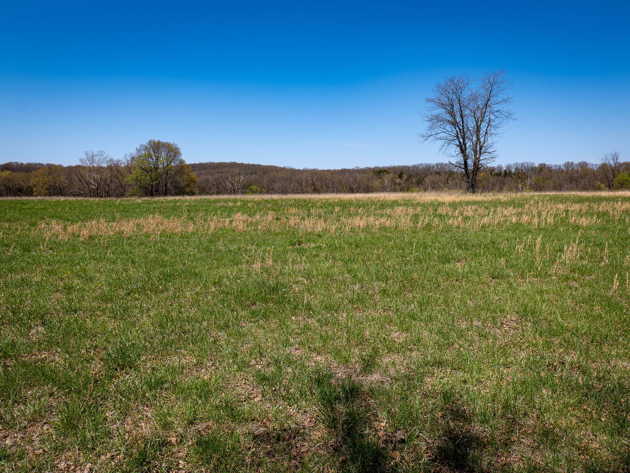 property viewer photo 29