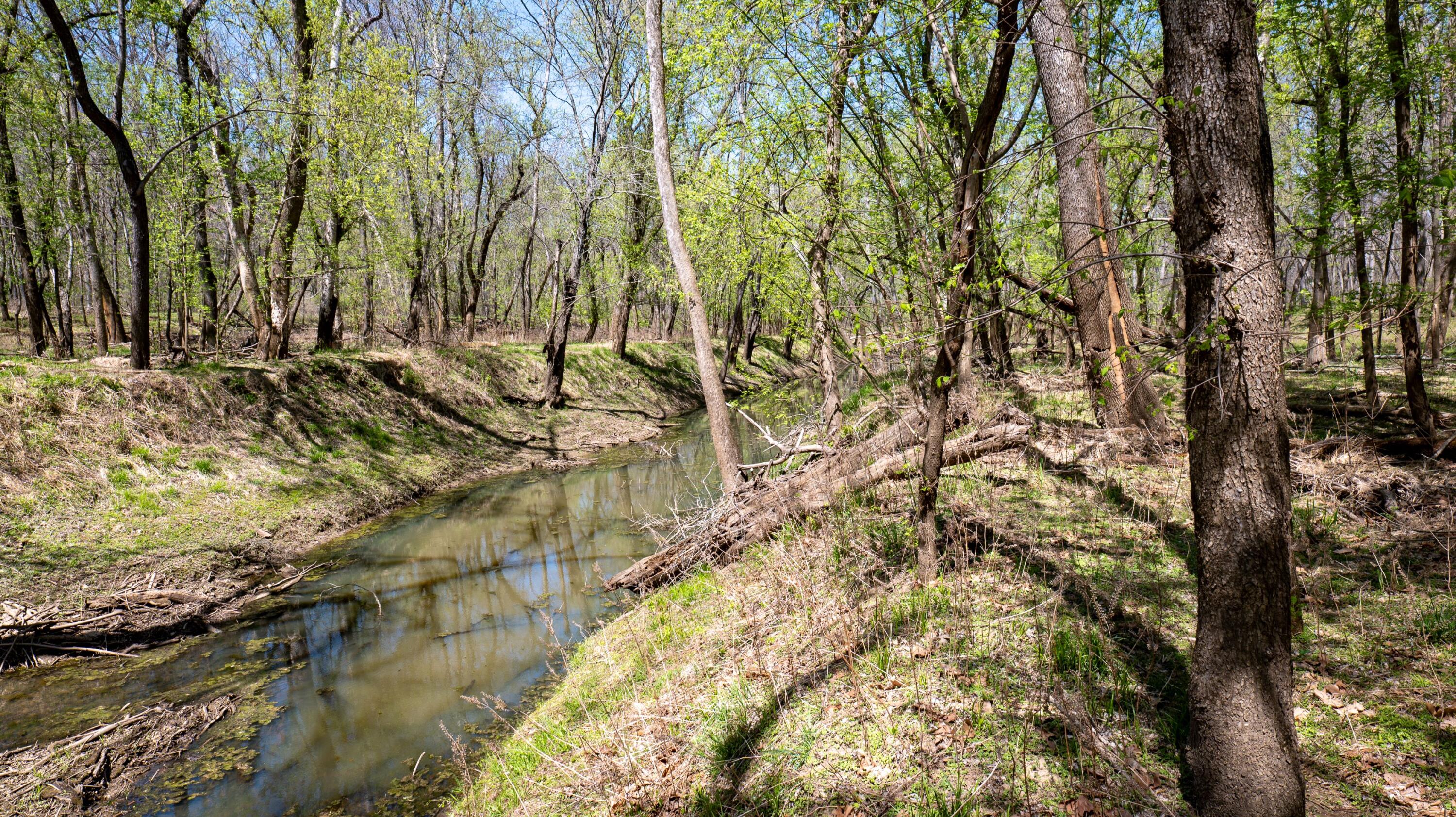property viewer photo 30