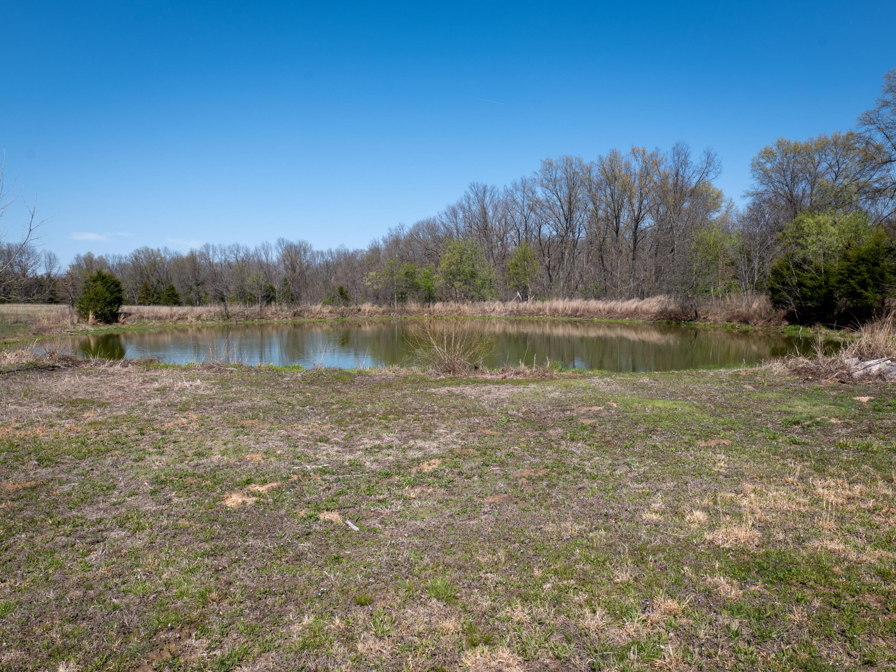 property viewer photo 32