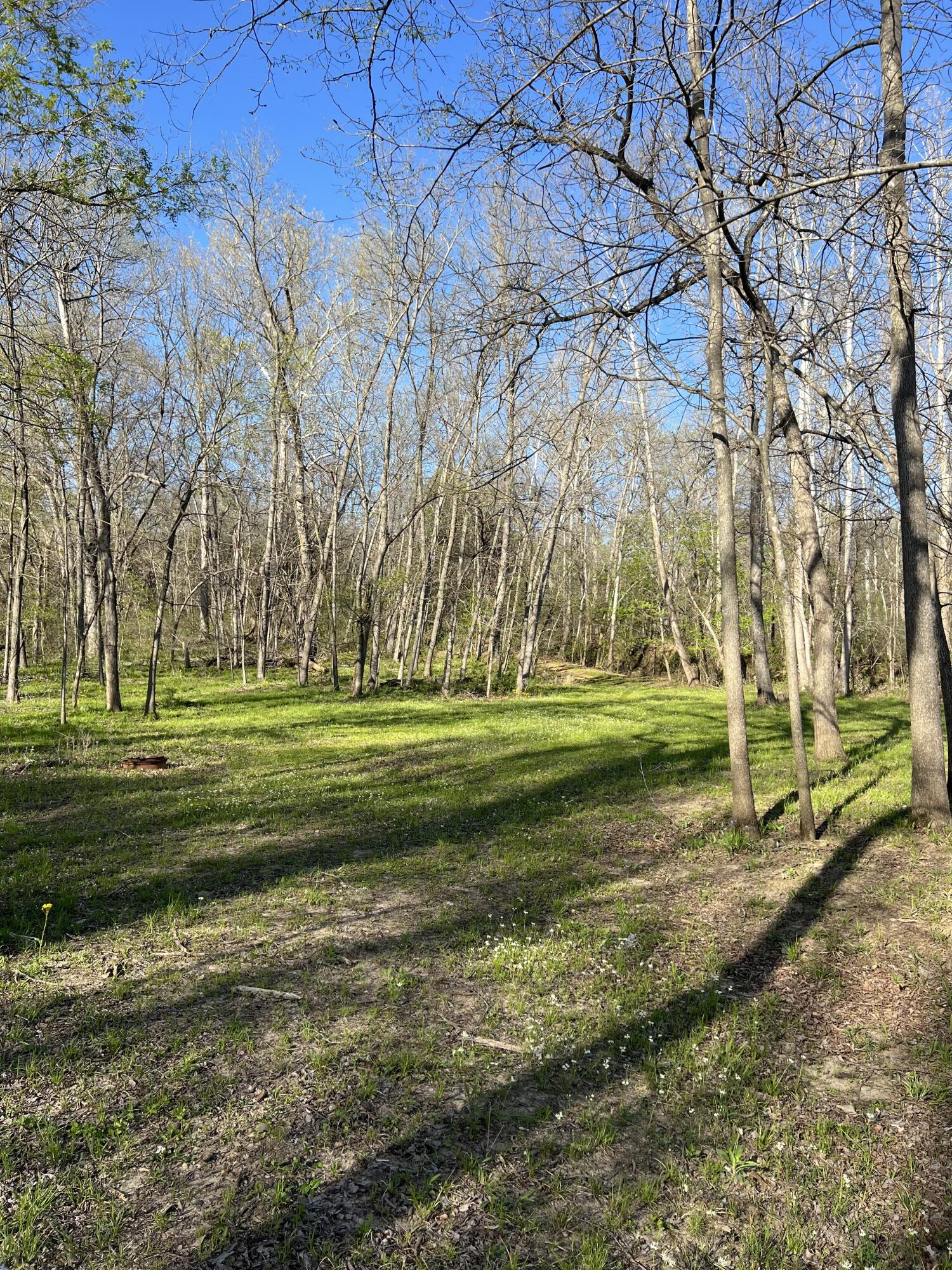 property viewer photo 60