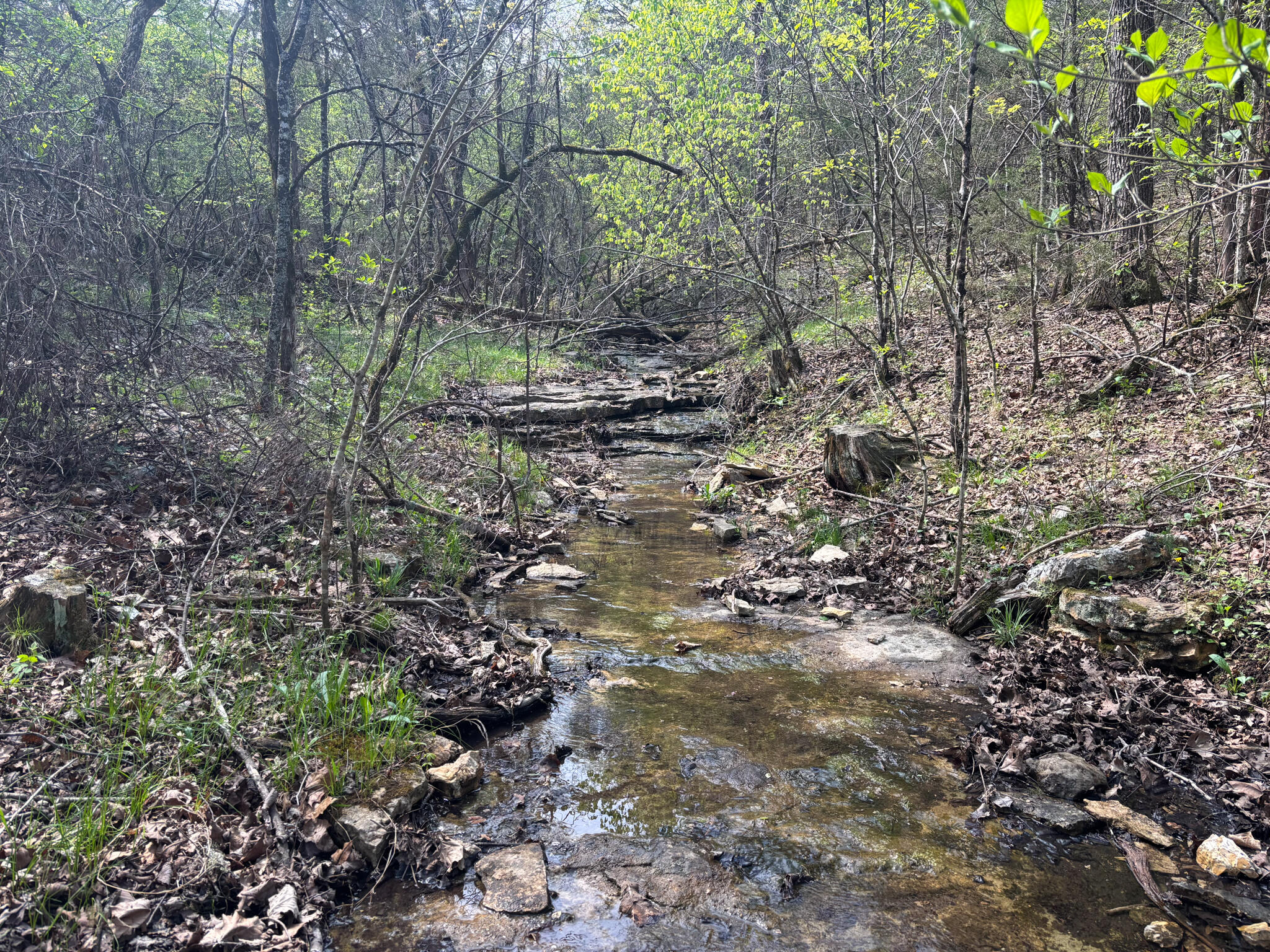 main property photo 11