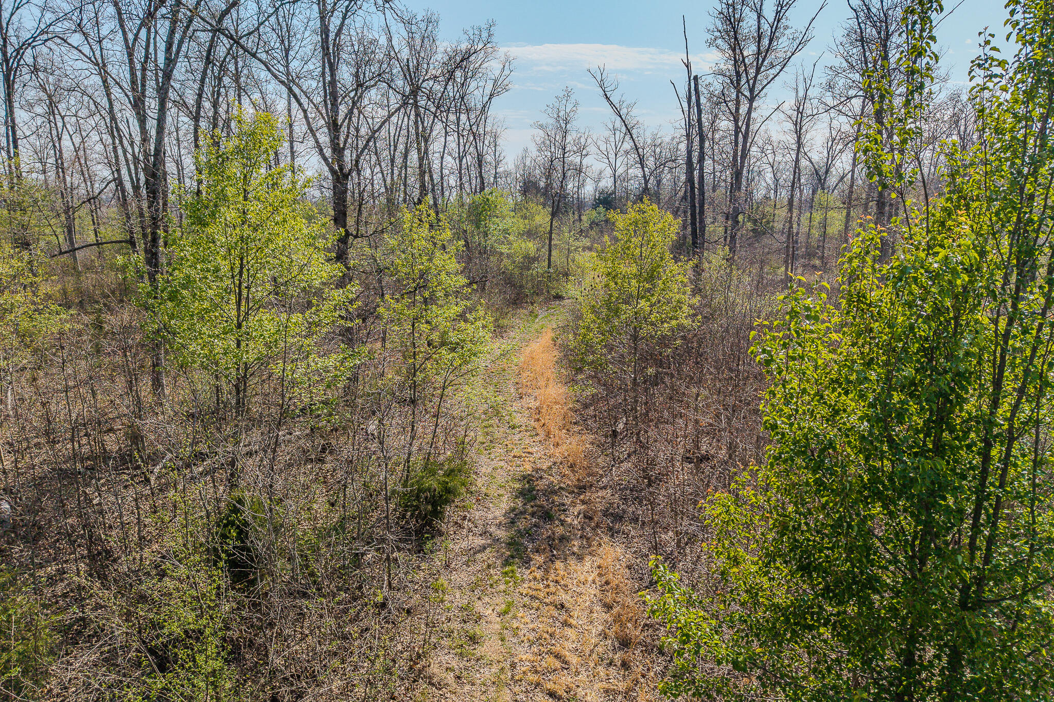property viewer photo 21