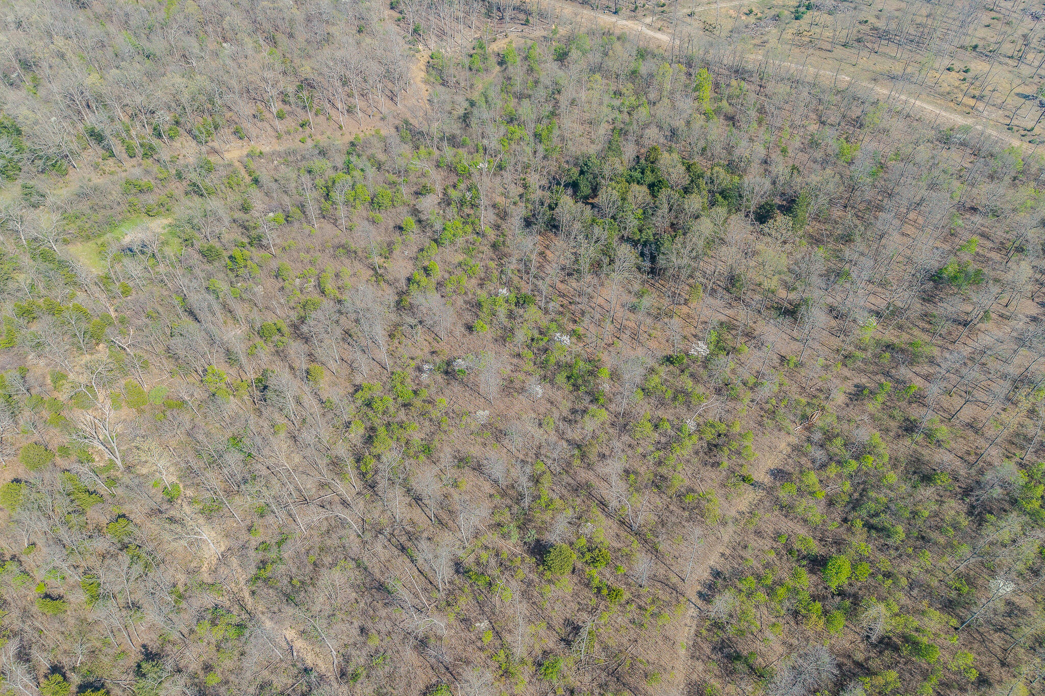 property viewer photo 27