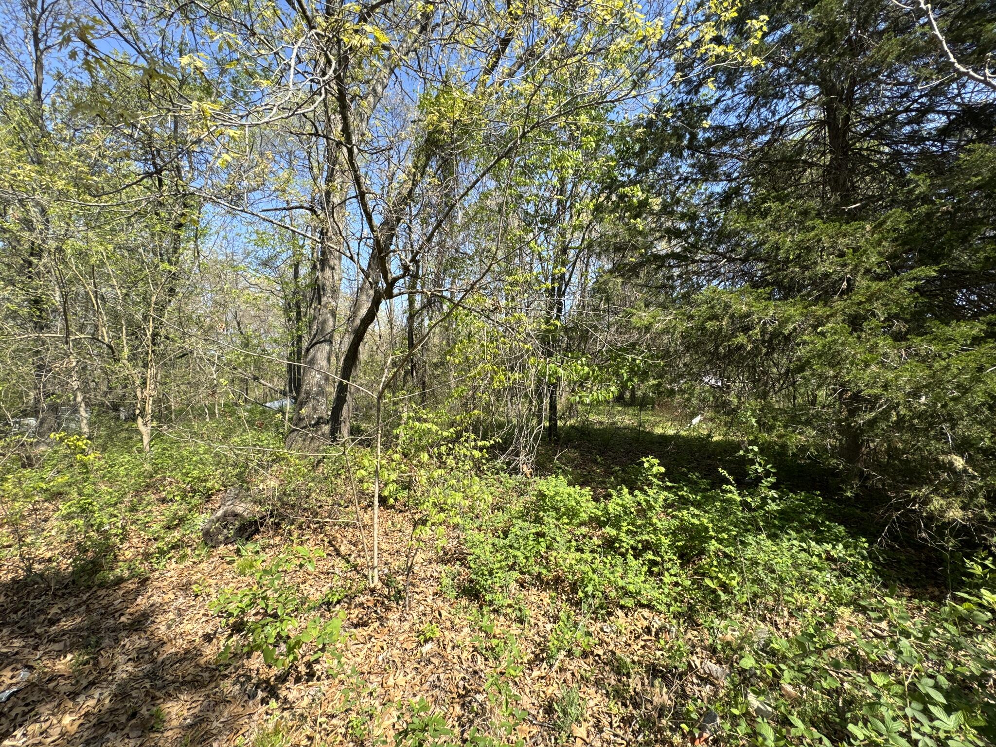property viewer photo 11