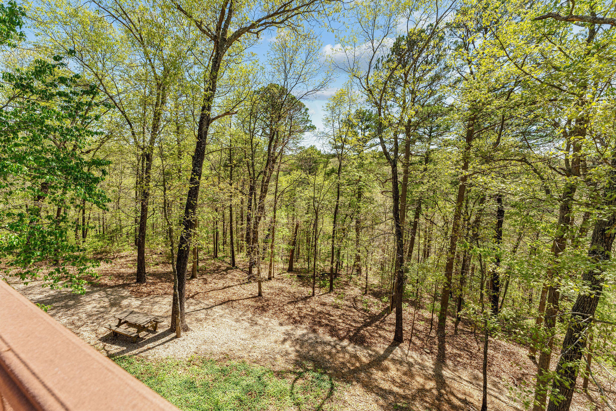 main property photo 46