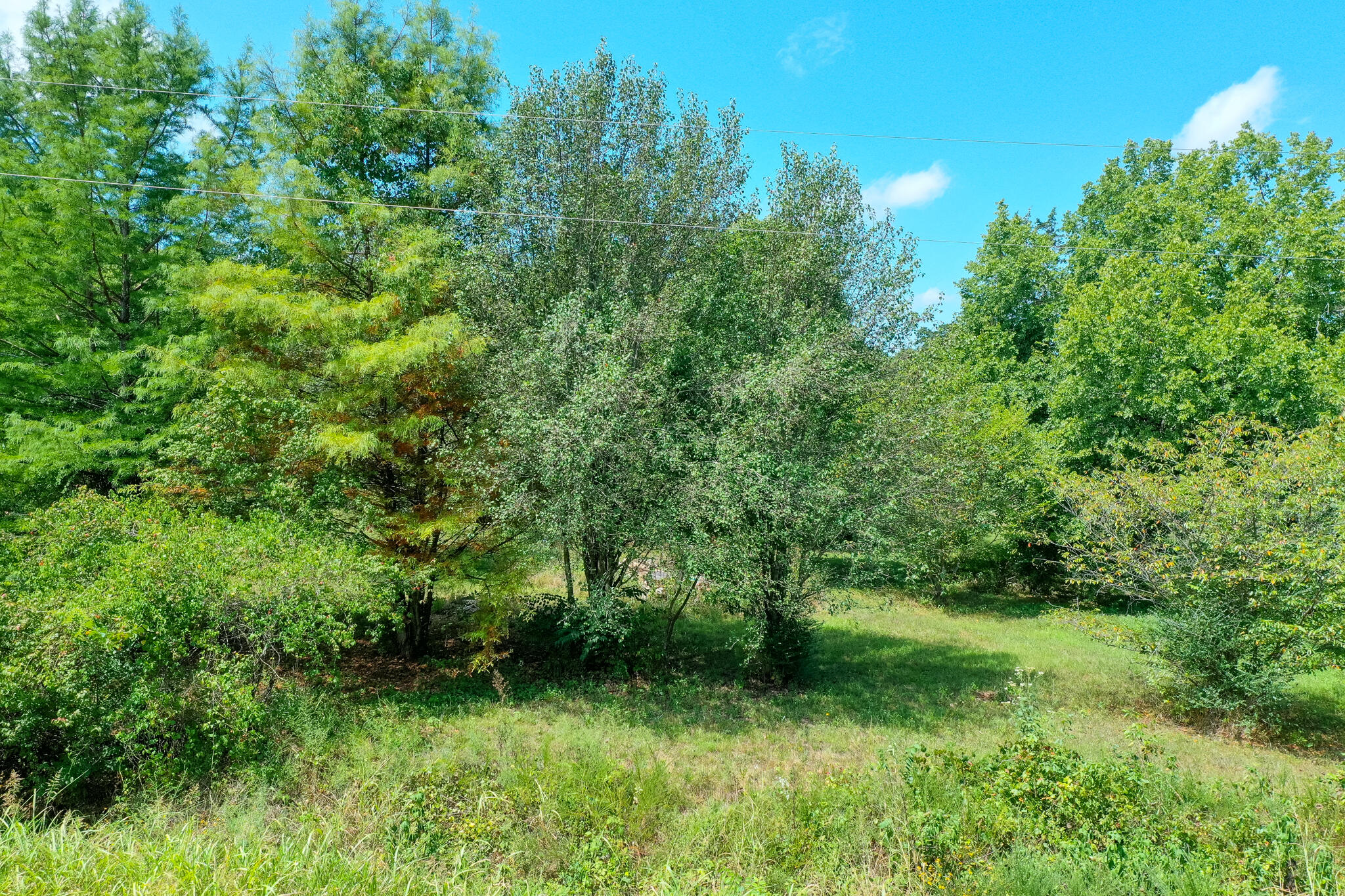 main property photo 11