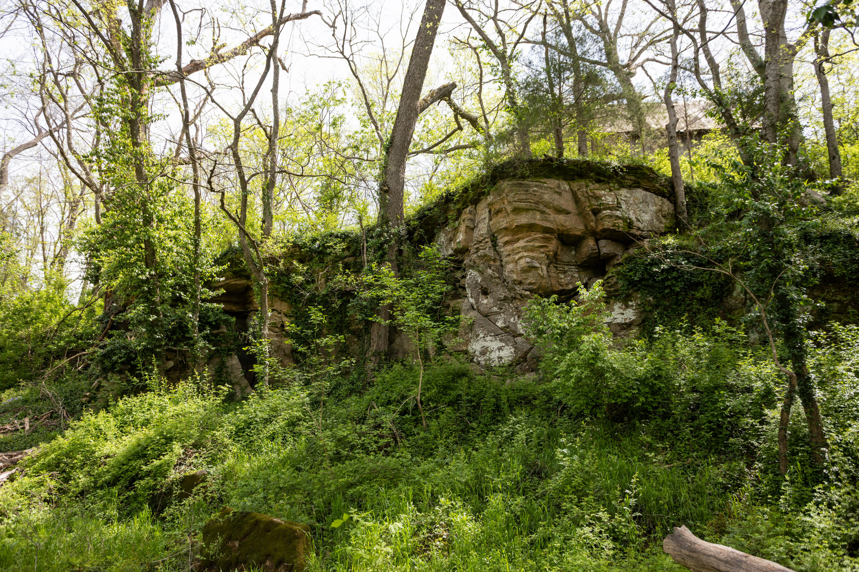 main property photo 16