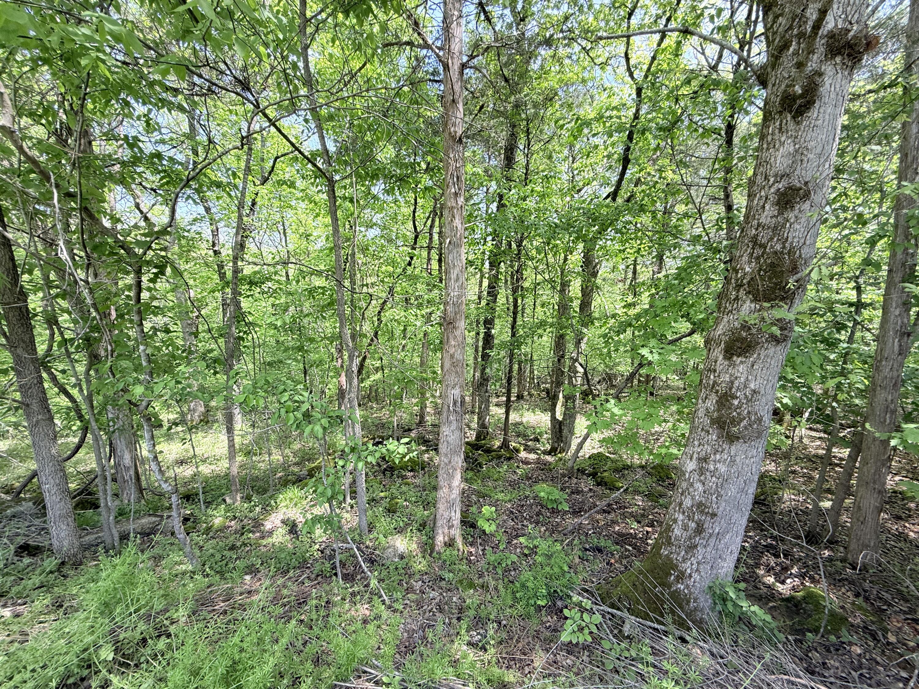 property viewer photo 22