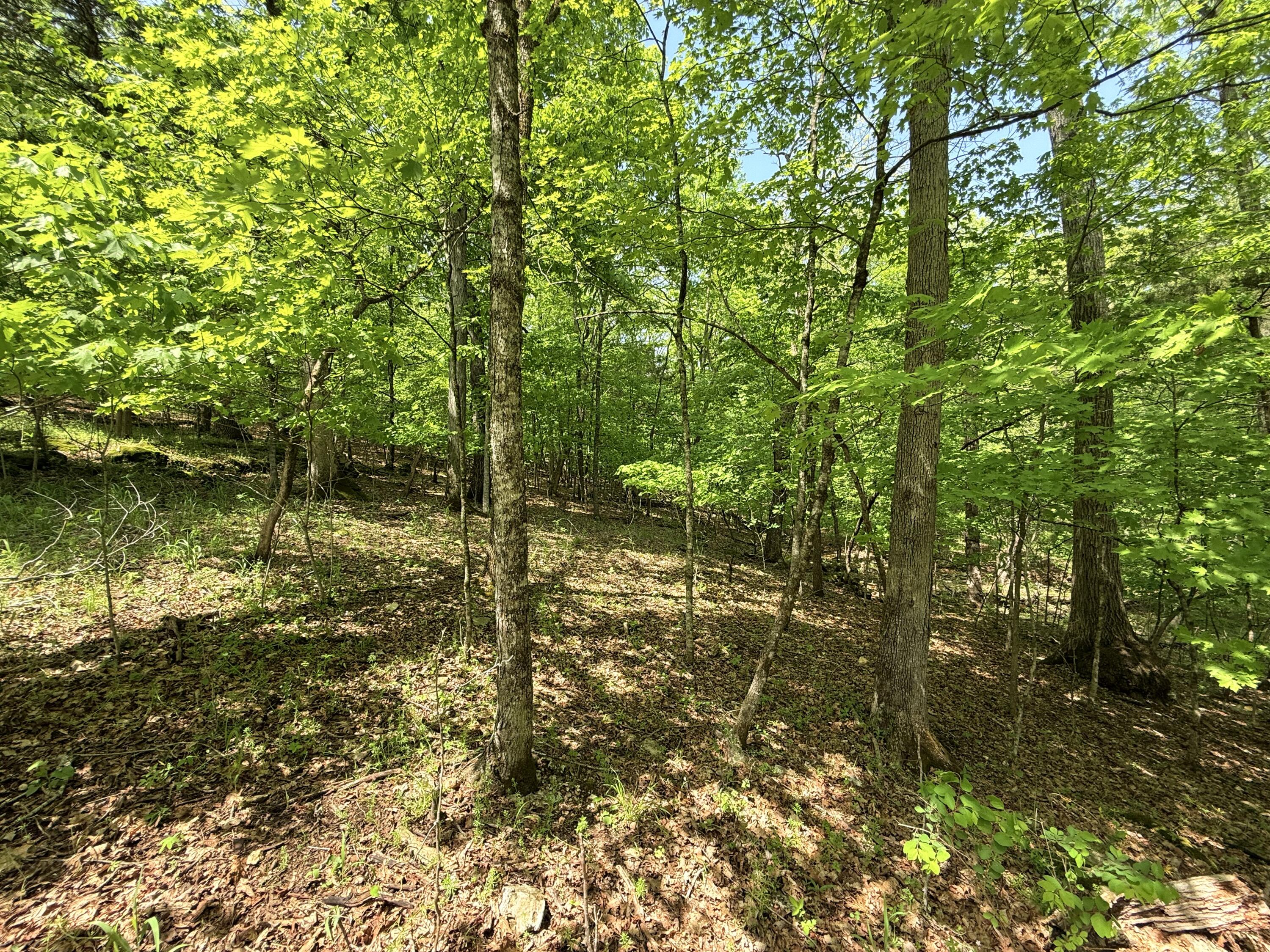 property viewer photo 25
