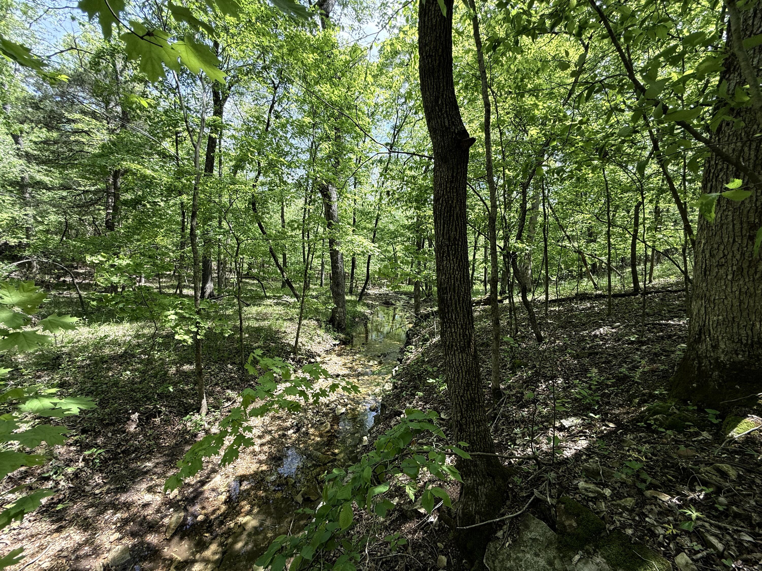 property viewer photo 27