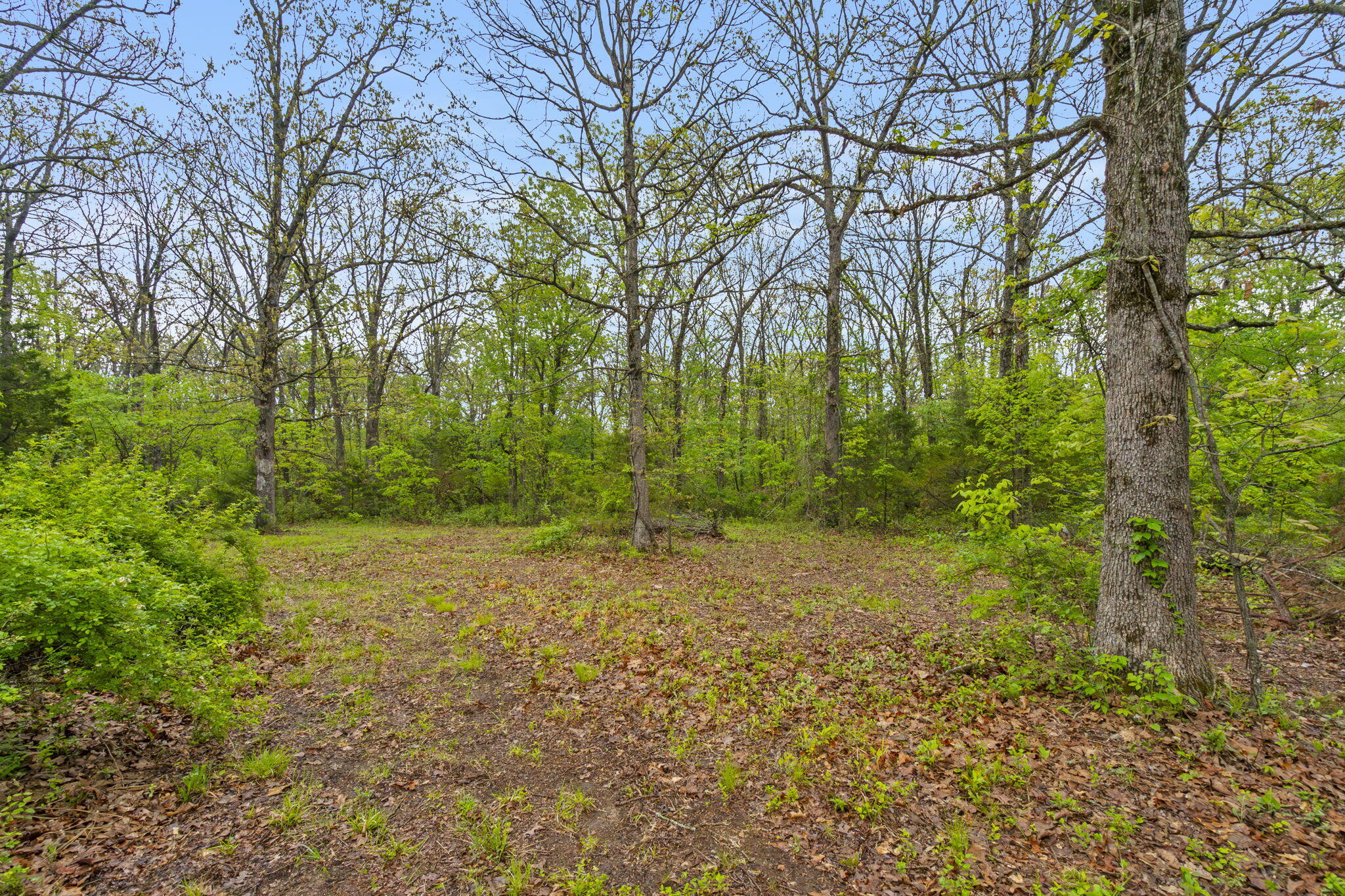 property viewer photo 4